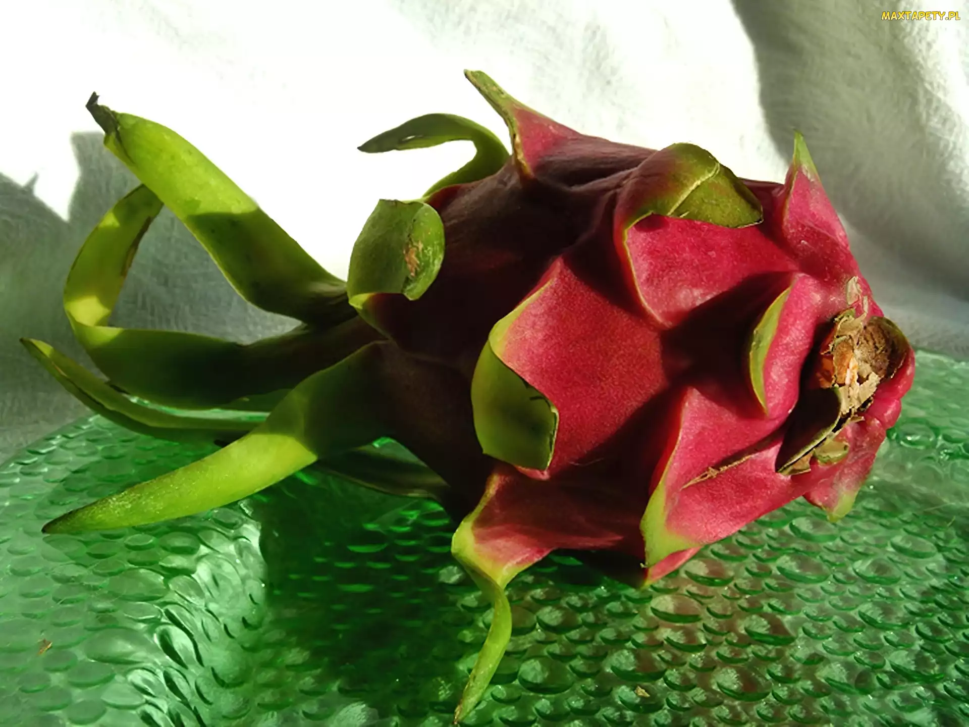 Owoc, Pitahaja, Smoczy