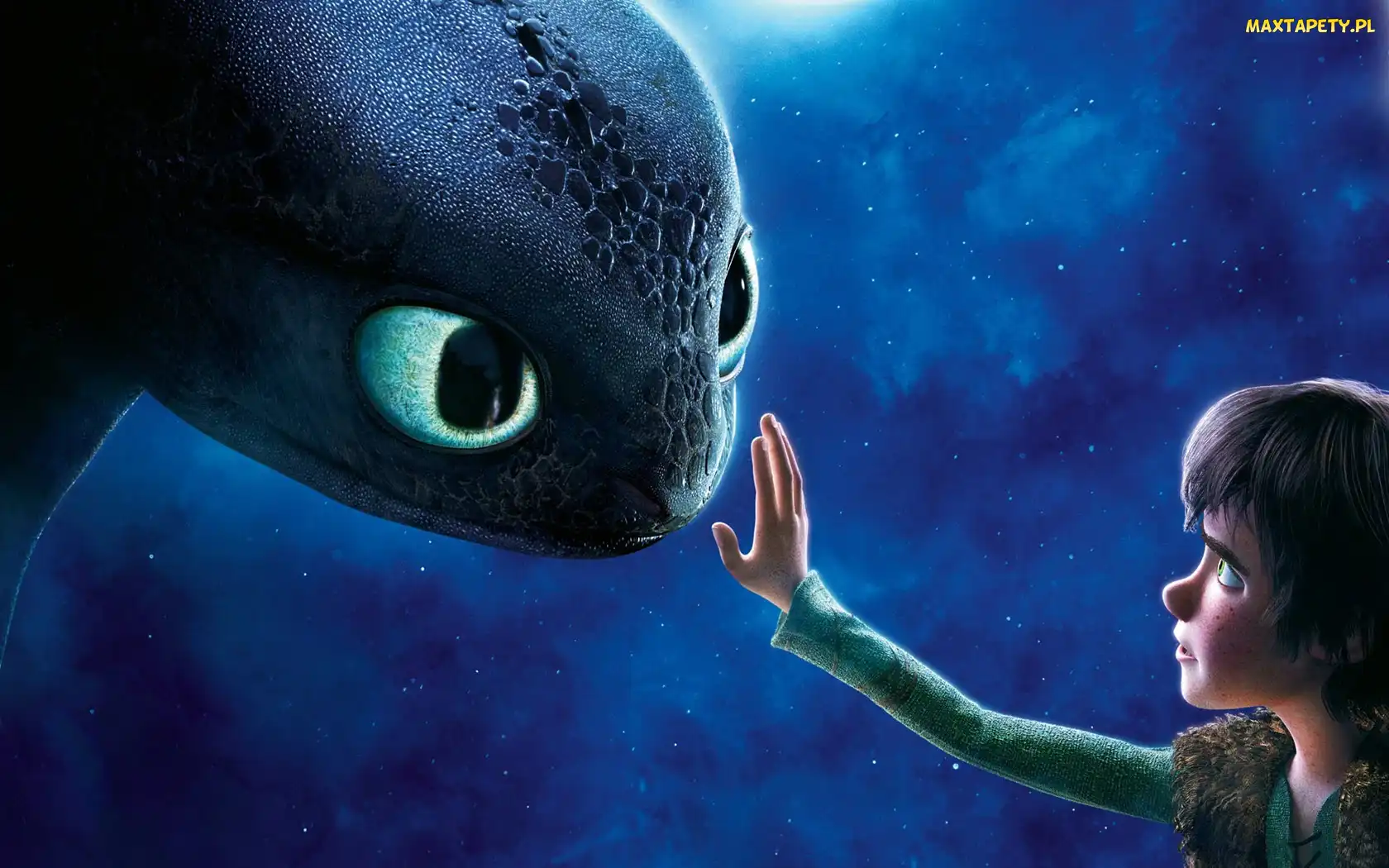 How to Train Your Dragon, Jak wytresować smoka