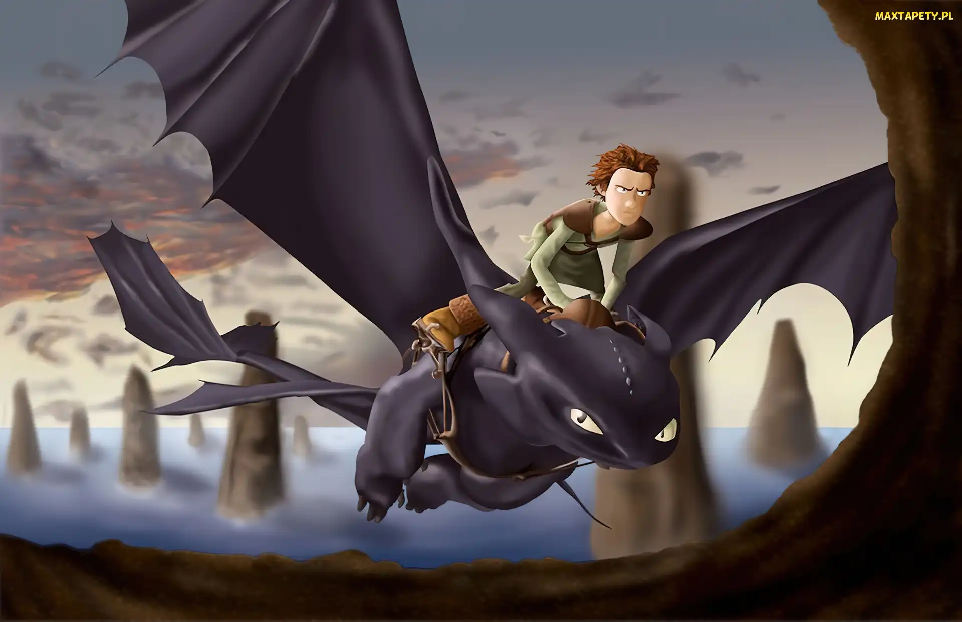 How to Train Your Dragon, Lot, Jak wytresować smoka
