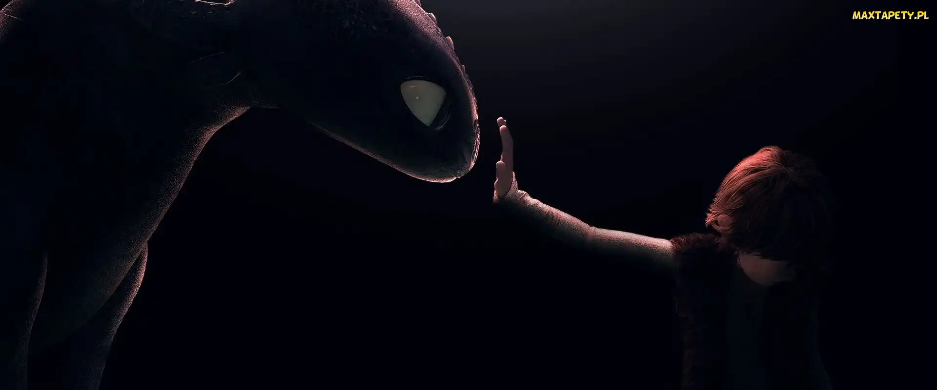 Jak wytresować smoka, Furia, Czkawka, How to Train Your Dragon