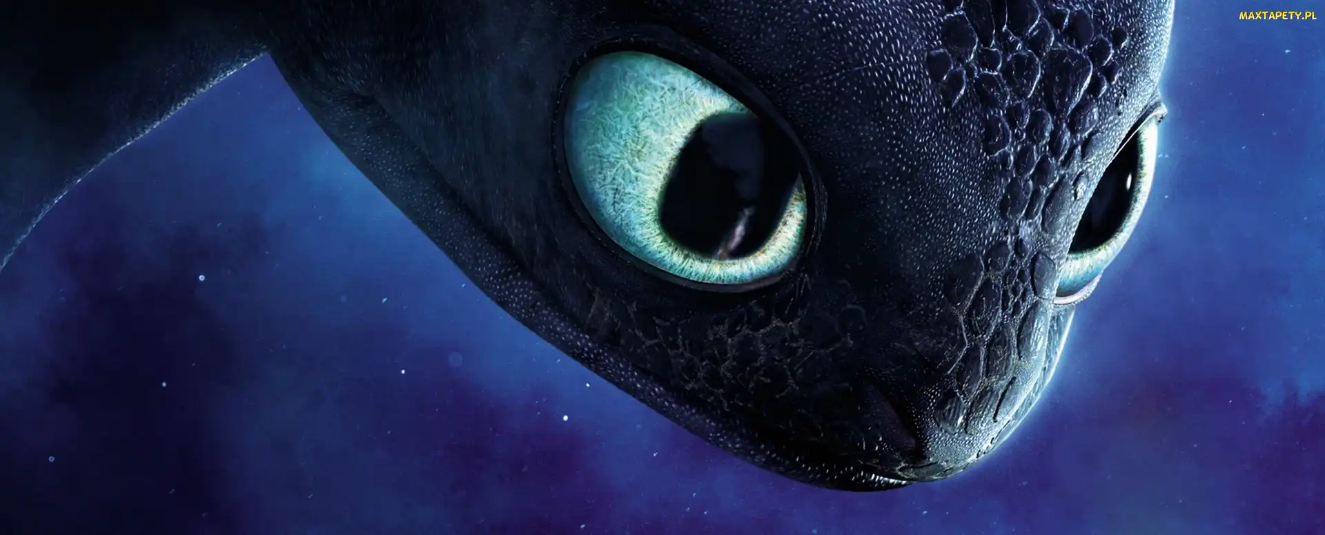 Nocna Furia, Smok, Jak wytresować smoka, How to Train Your Dragon