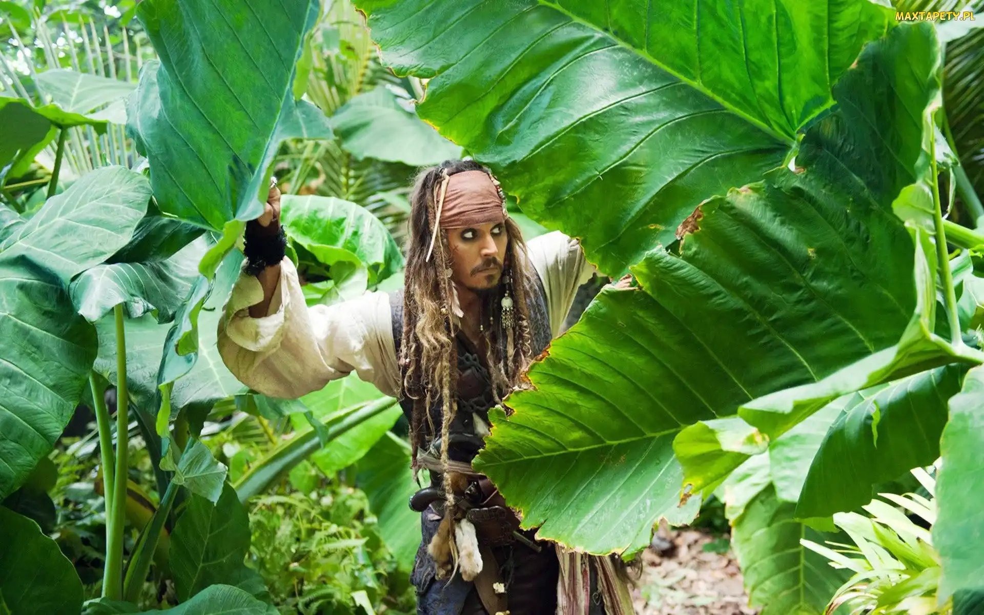 Zarośla, Jack Sparrow, Pirat