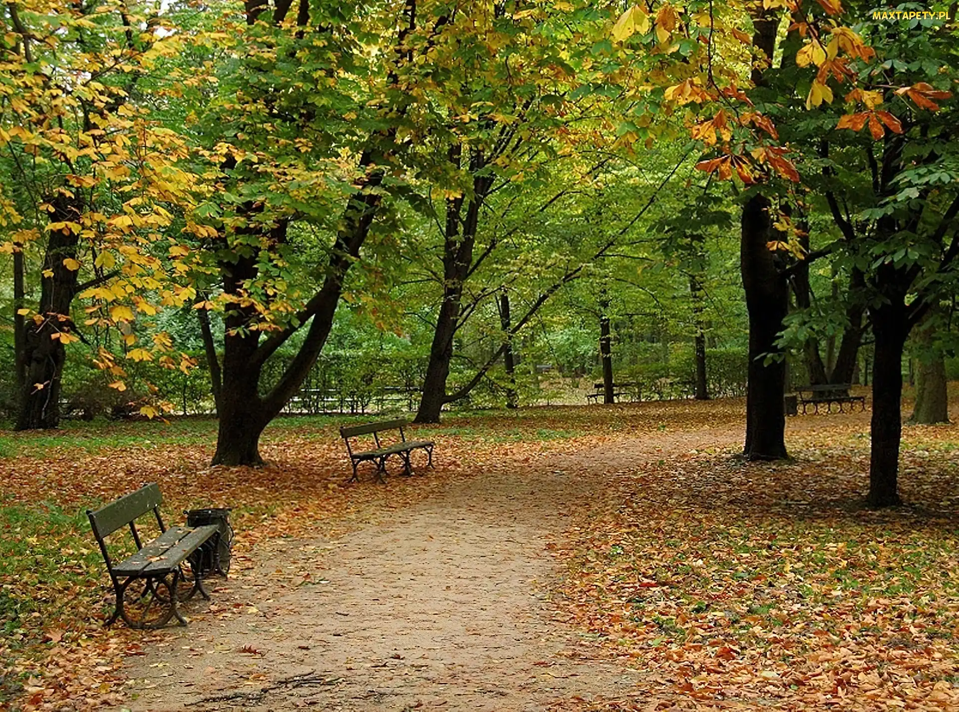 Park, Jesień