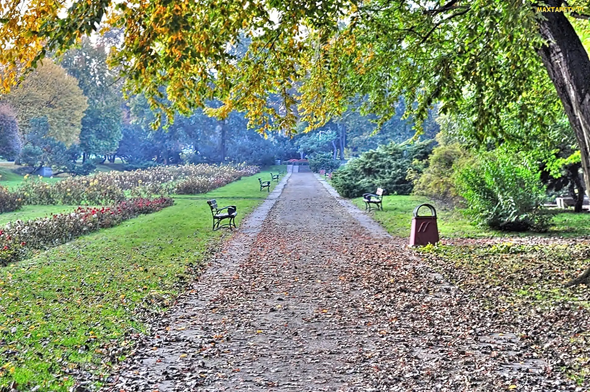 Park, Legnica
