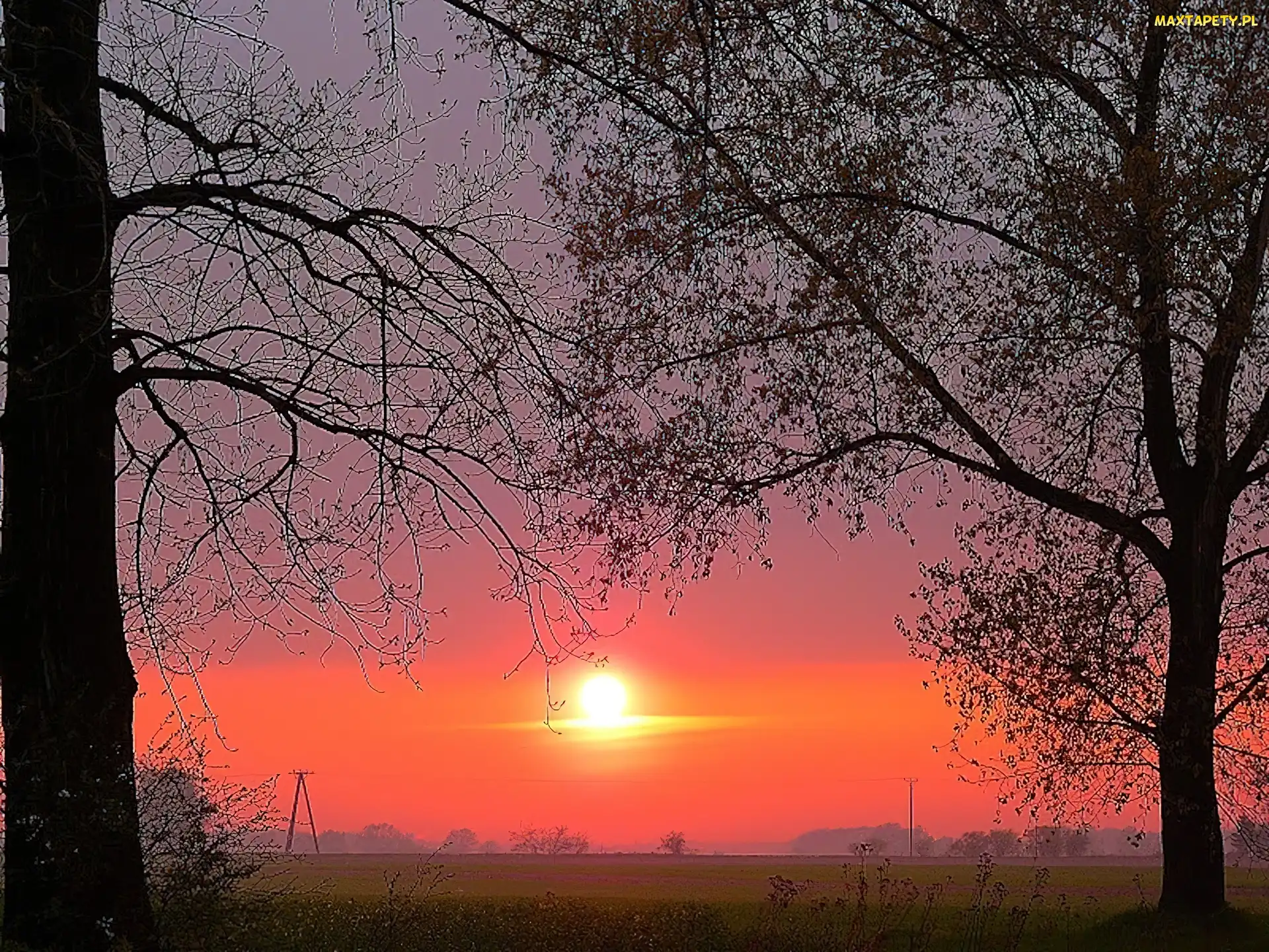 Słońca, Drzewa, Zachód