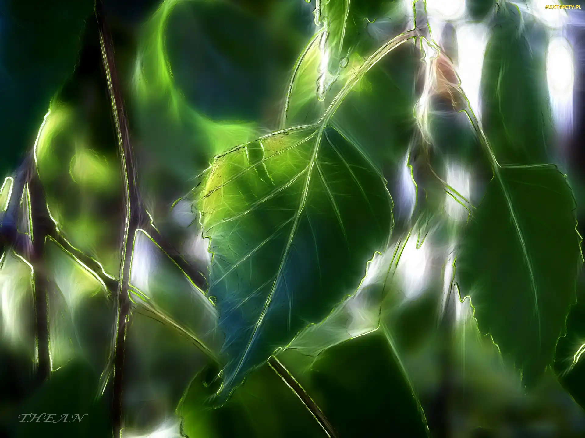Liście, Fractalius, Brzoza