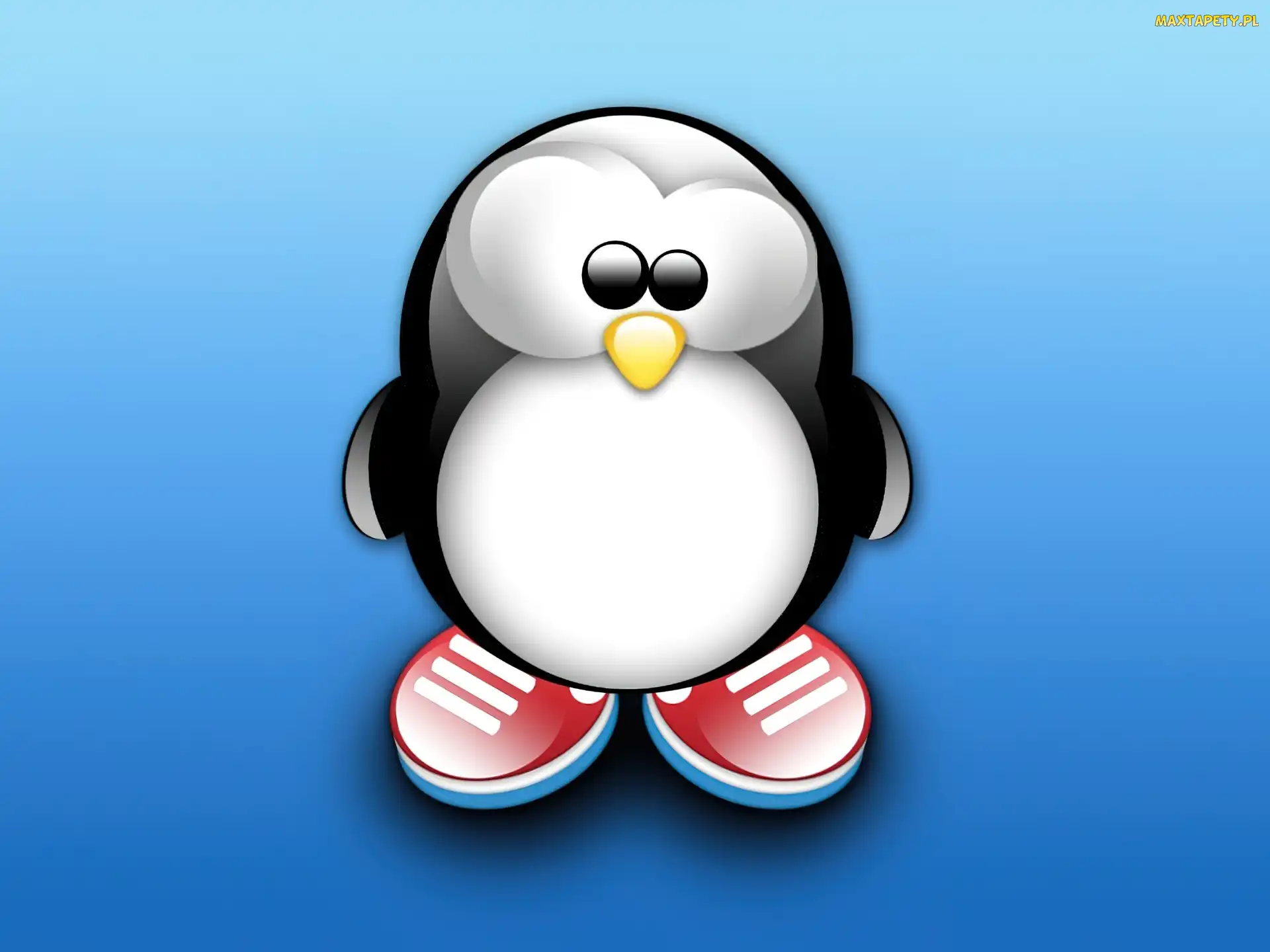 Linux, Pigwinek, Pigwin
