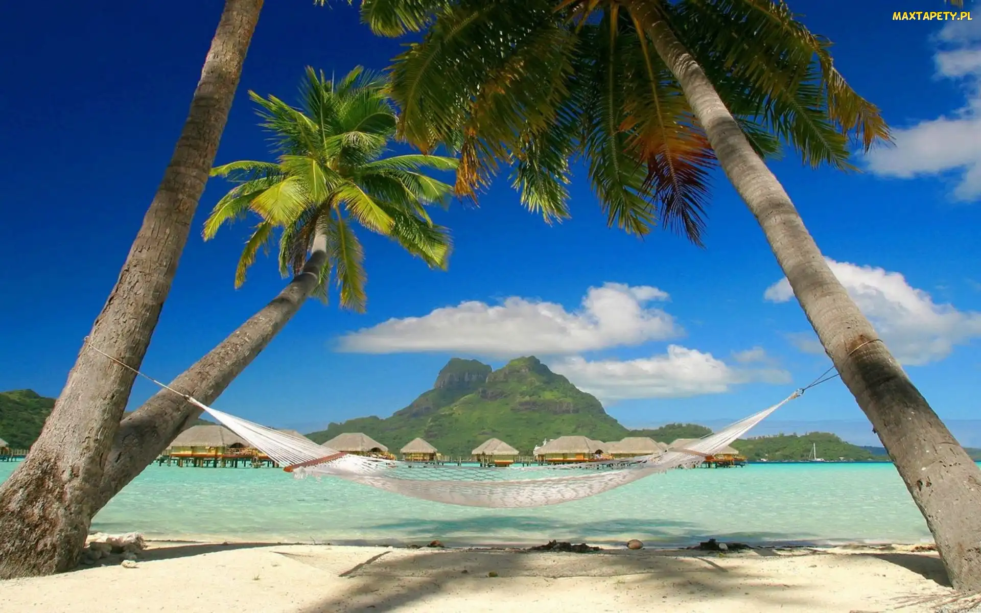 Hamak, Bora Bora, Palmy