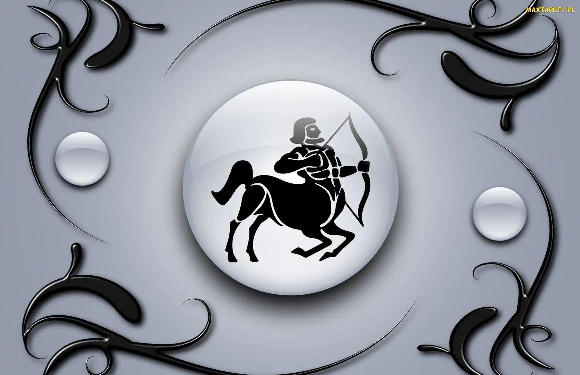 Zodiaku, Strzelec, Znak