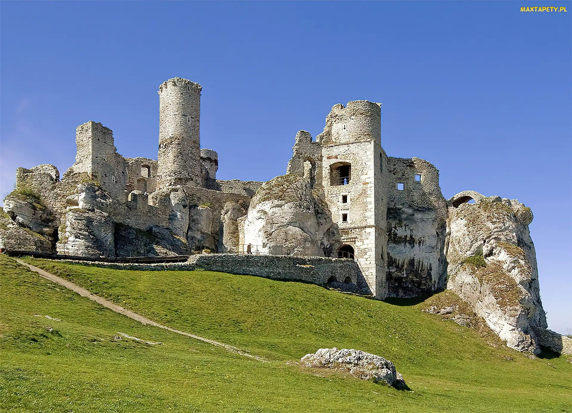 Zamku, Ogrodzieniec, Ruiny