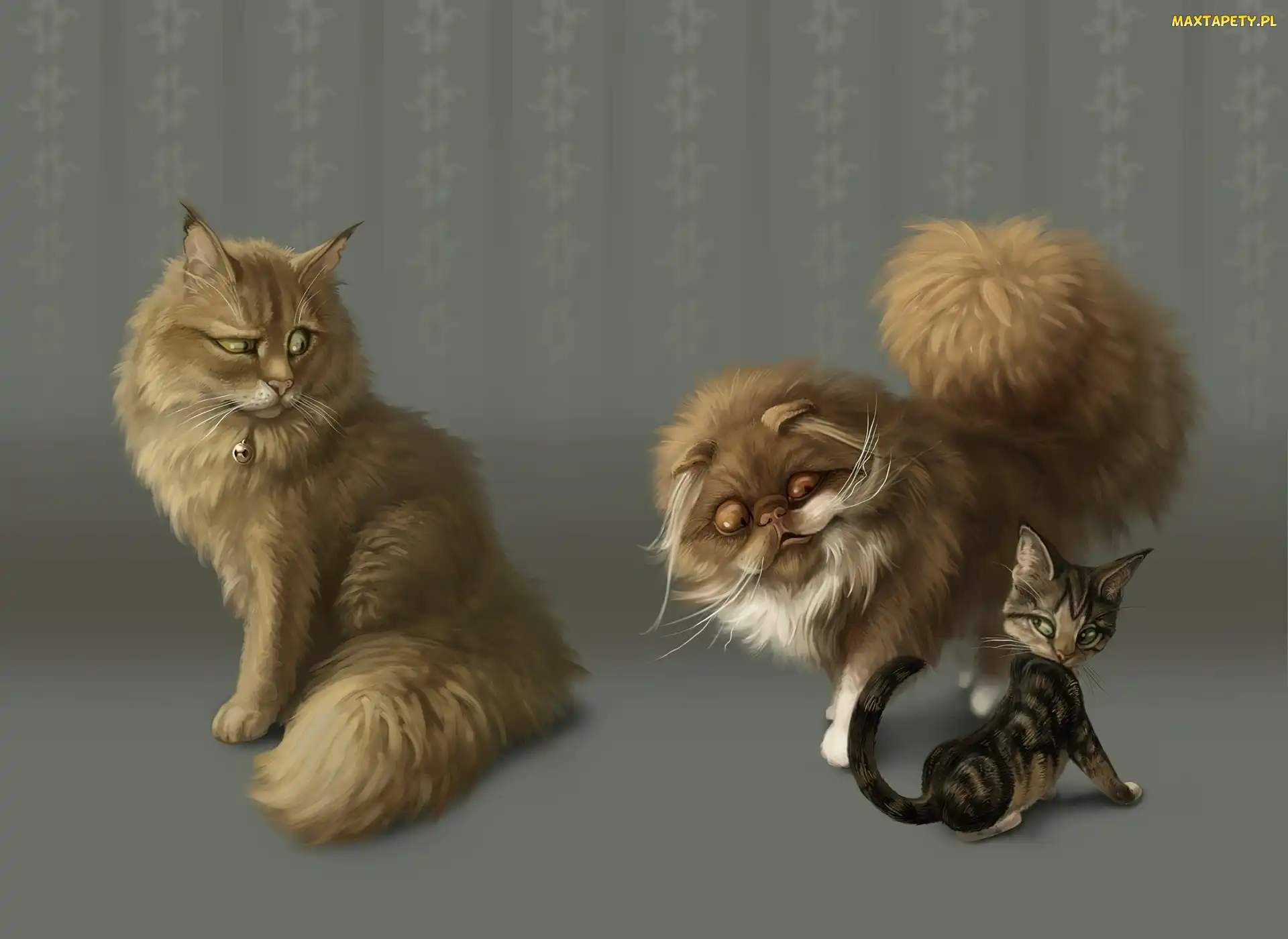 Koty, Grafika, Trzy