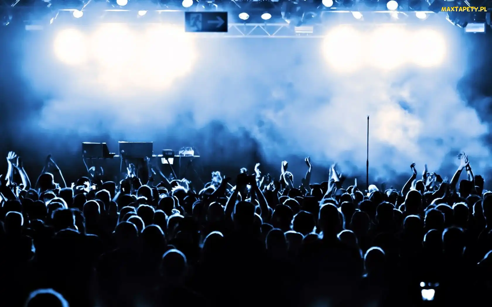 Fani, Muzyka, Koncert