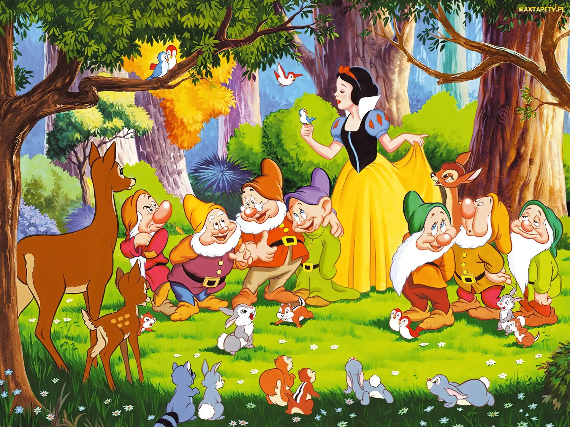 Snow White and the Seven Dwarfs, Bajka, Królewna Śnieżka i siedmiu krasnoludków