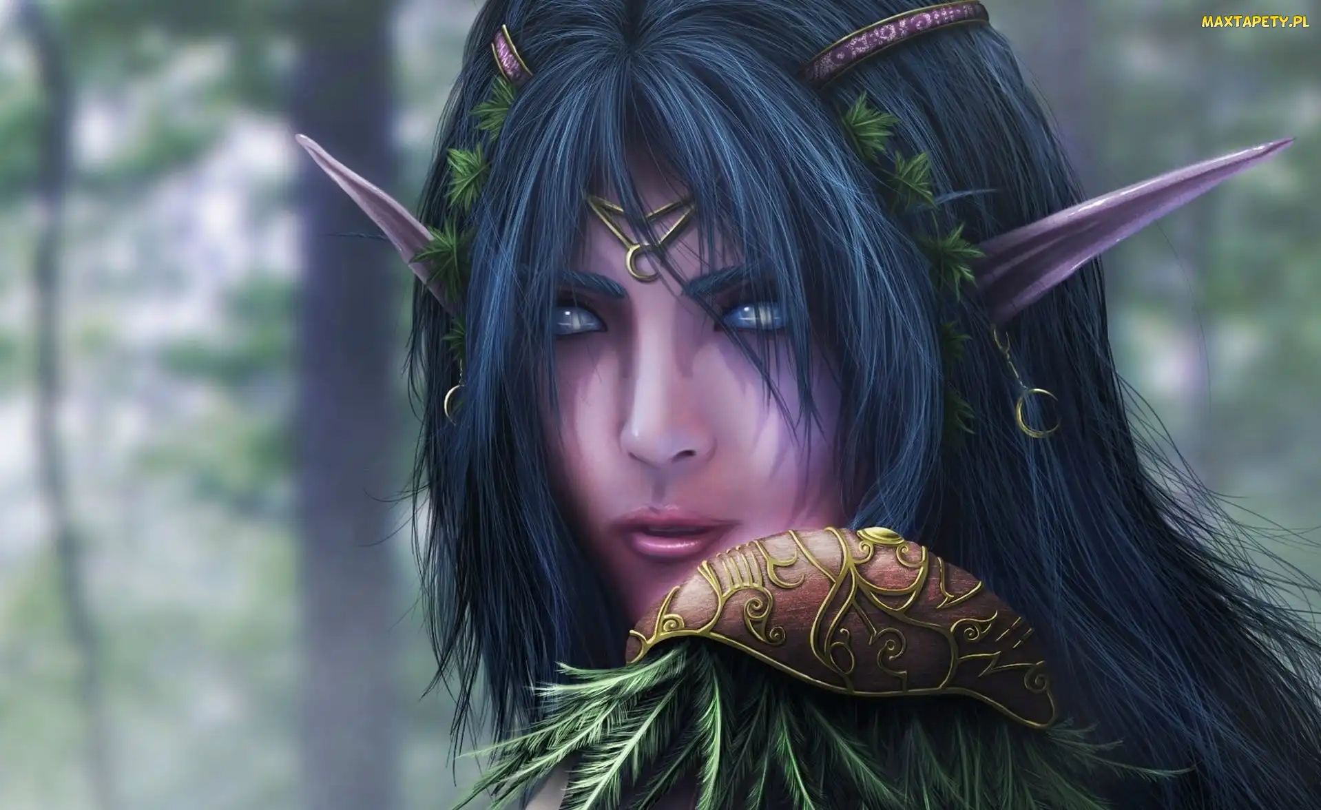 Nocny Elf, World Of Warcraft