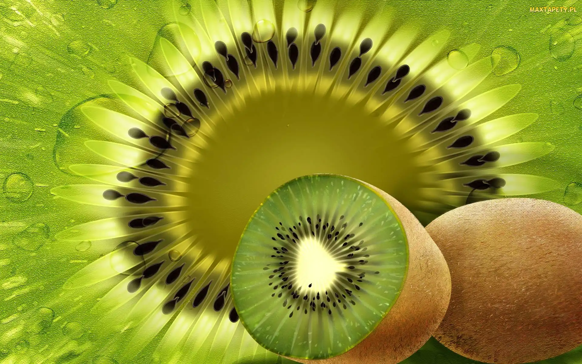 Wody, Krople, Kiwi, Przekrój