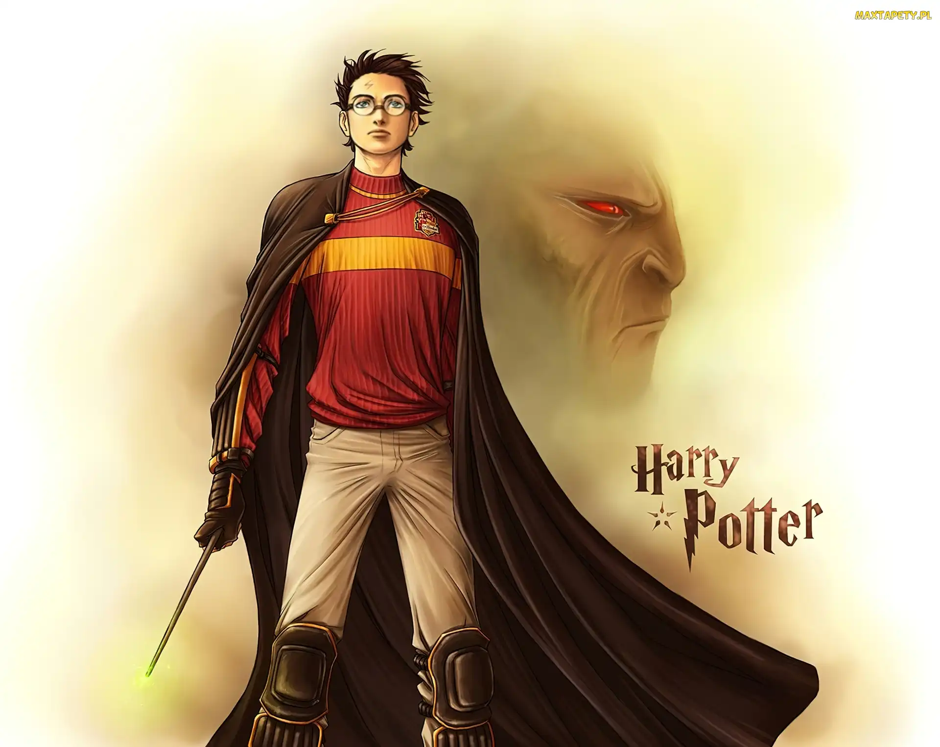 Czarodziej, Różdżka, Harry Potter