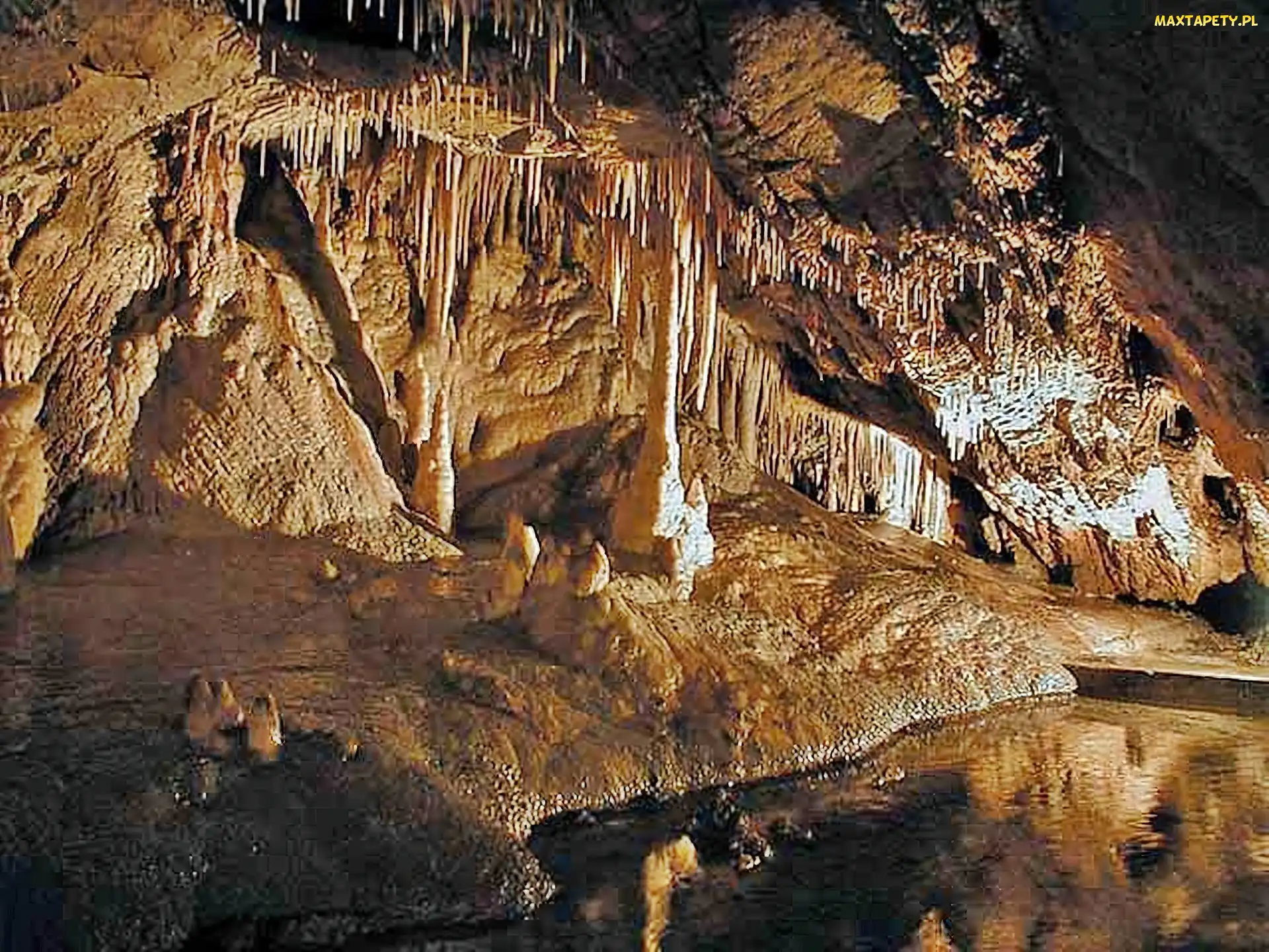 Jaskinia, Niedźwiedzia, Śnieżnik