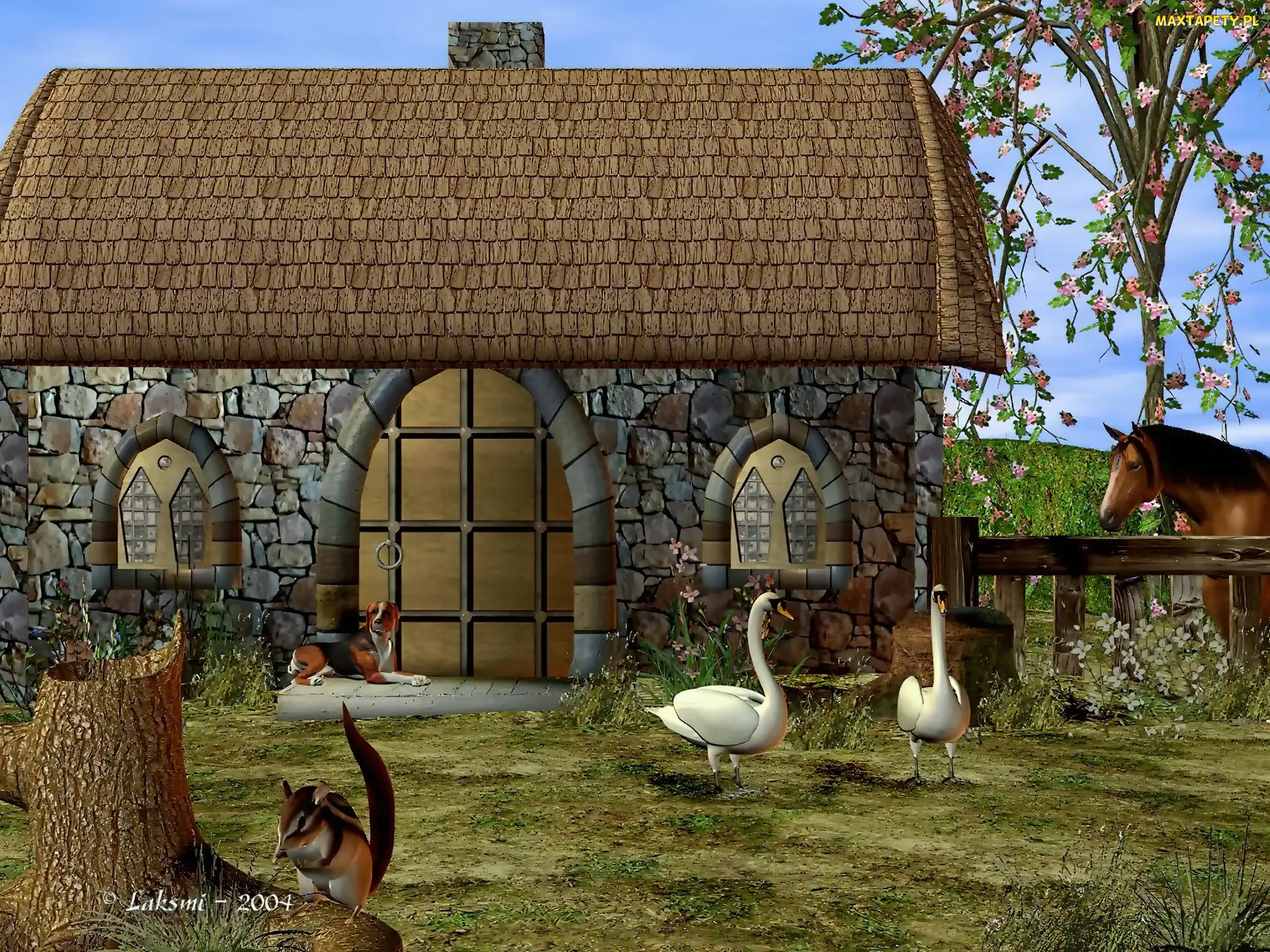 Zwierzęta, 3D, Dom