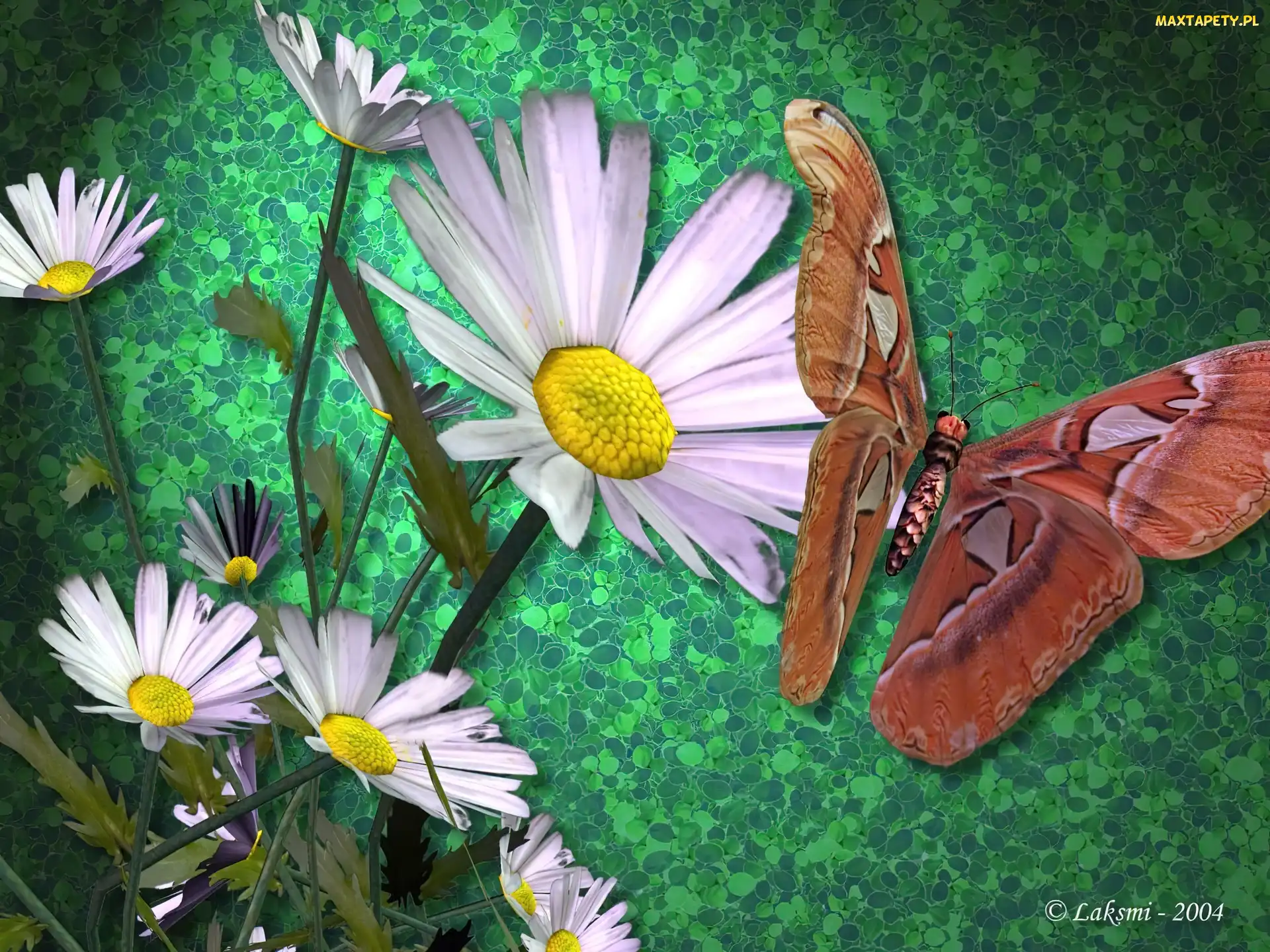 Motyl, 3D, Kwiaty
