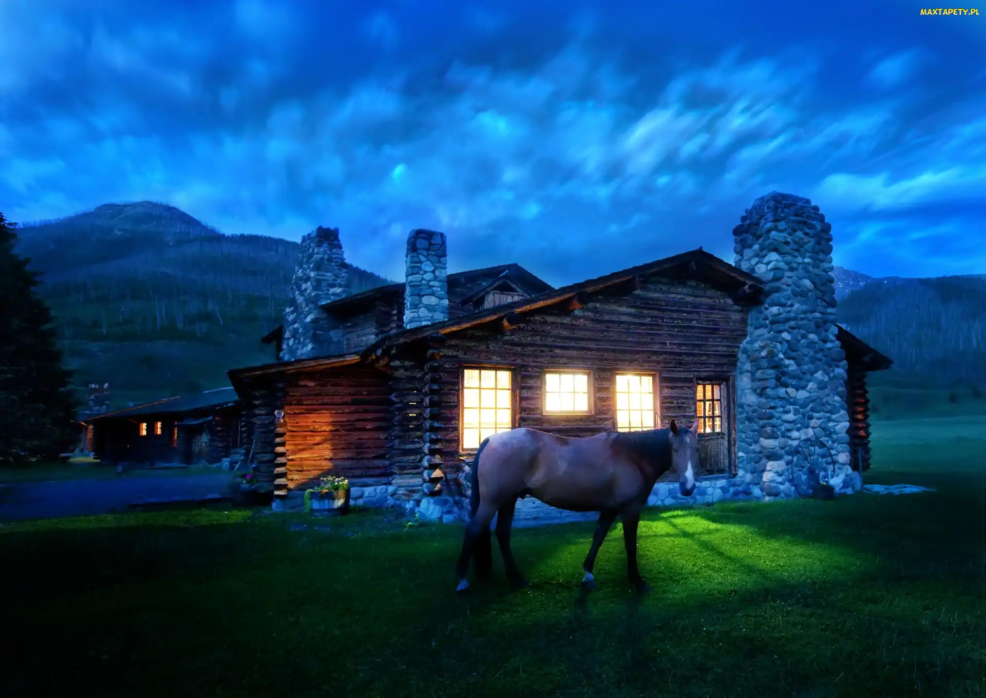 Dom, Montana, Cabin, Noc, Koń