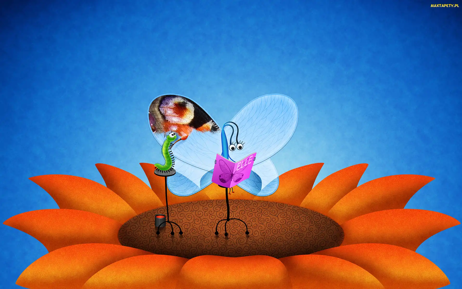 Motyl, Gąsienica, Kwiat