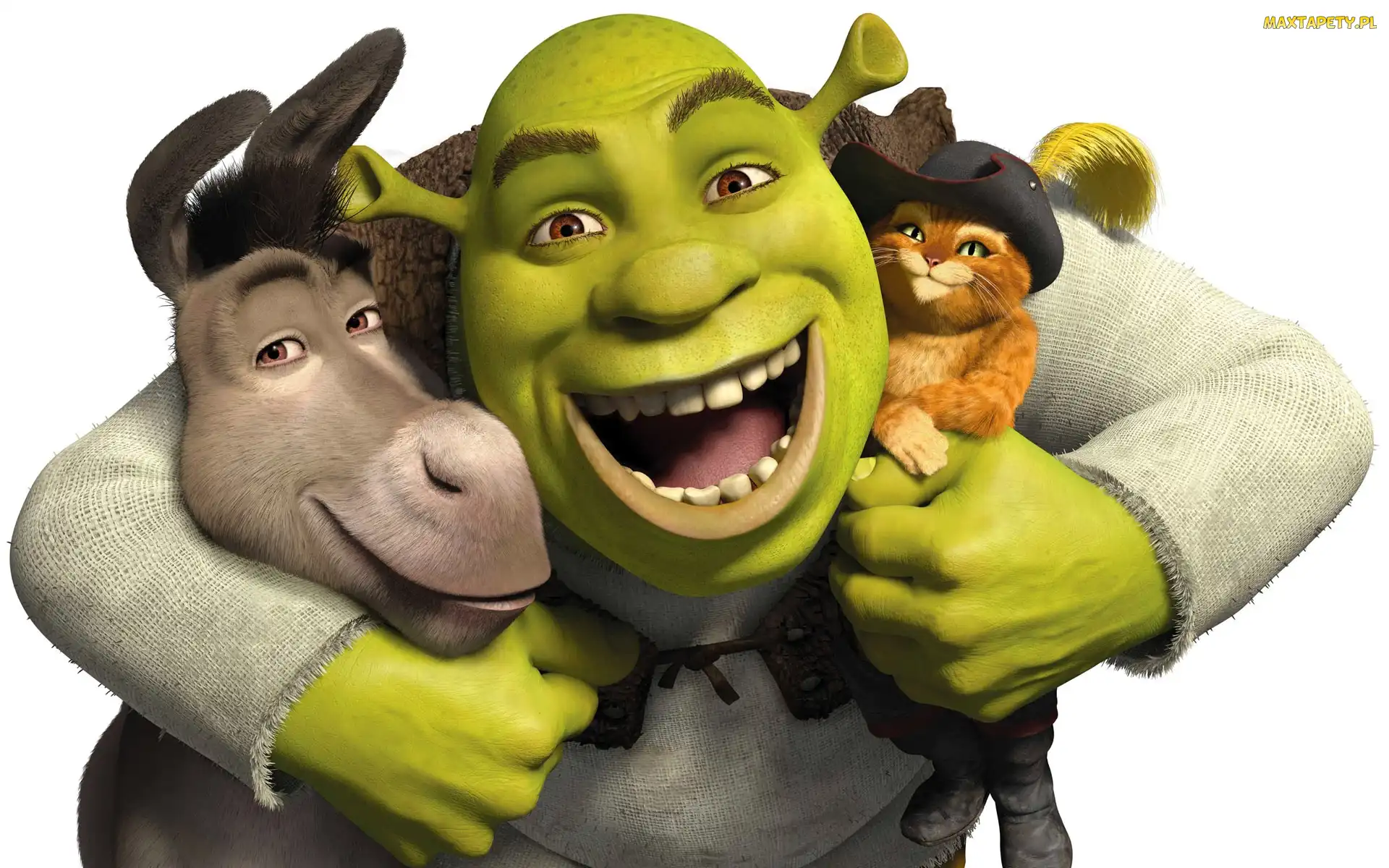Osioł, Przyjaźń, Uśmiech, Kapelusz, Shrek