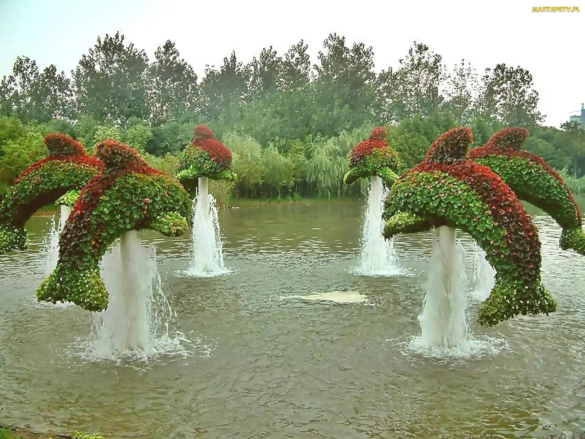 Krzewy, Delfiny, Ogród, Fontanny