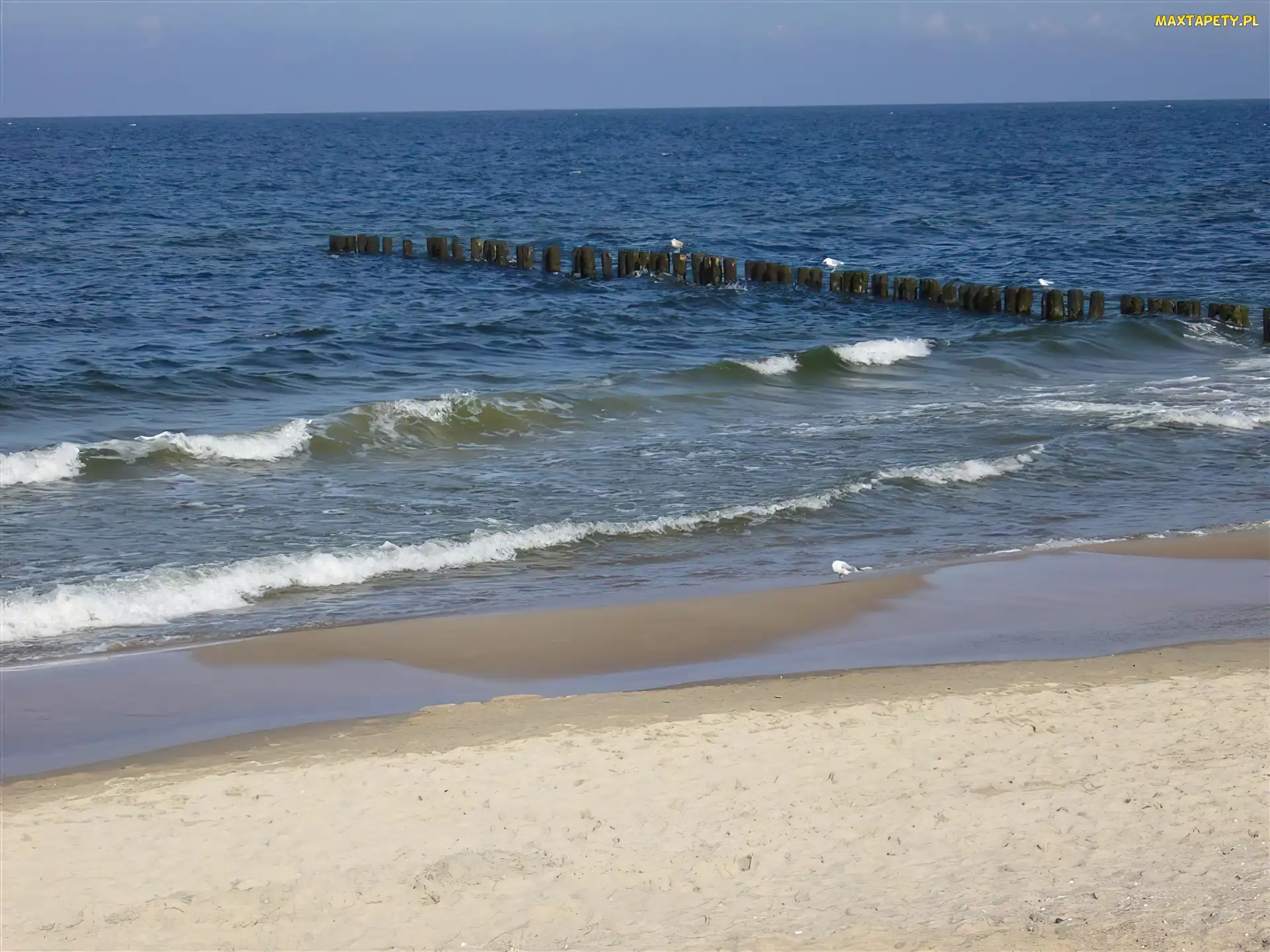 Morze, Plaża, Kołobrzeg