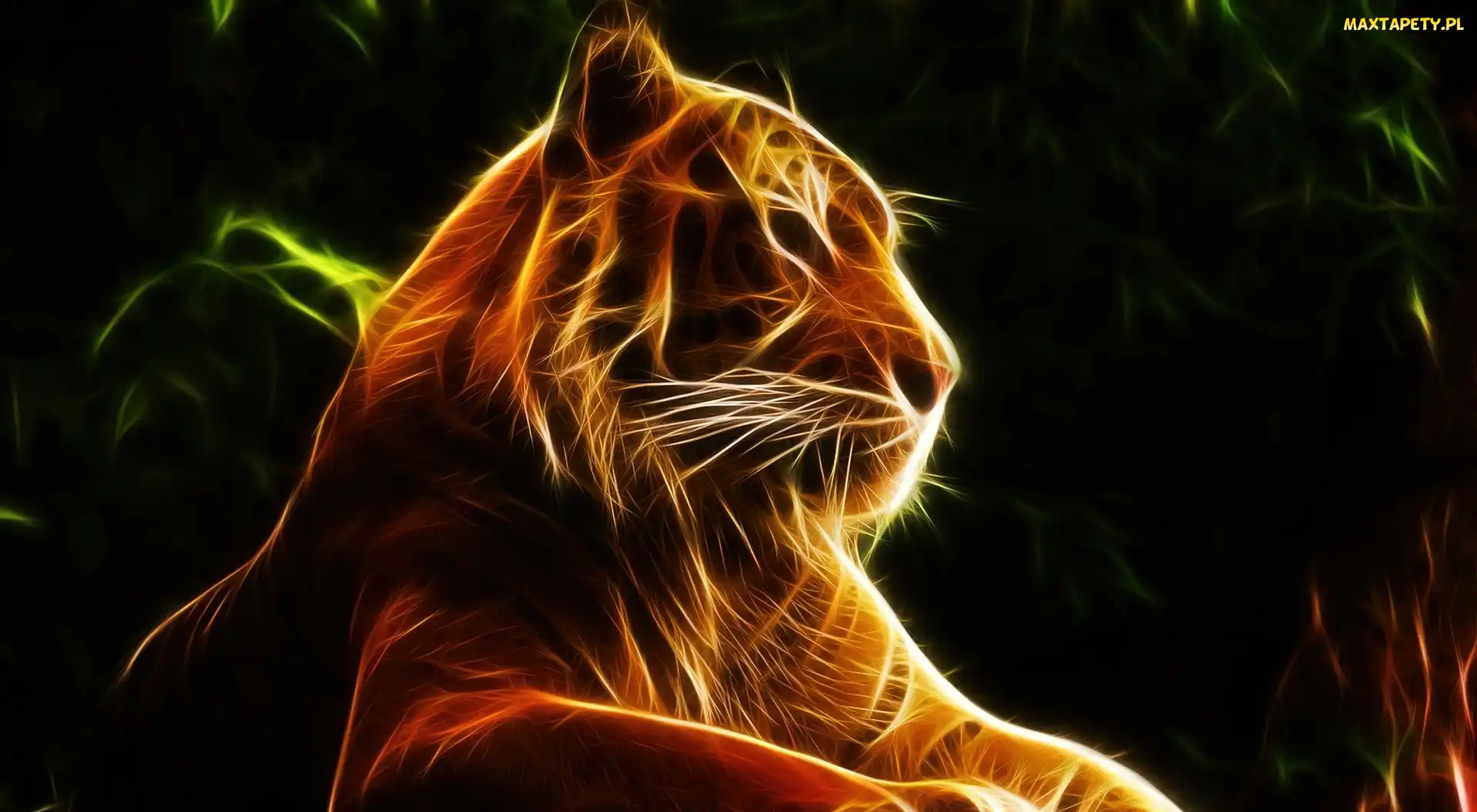 Grafika, Fractalius, Tygrys
