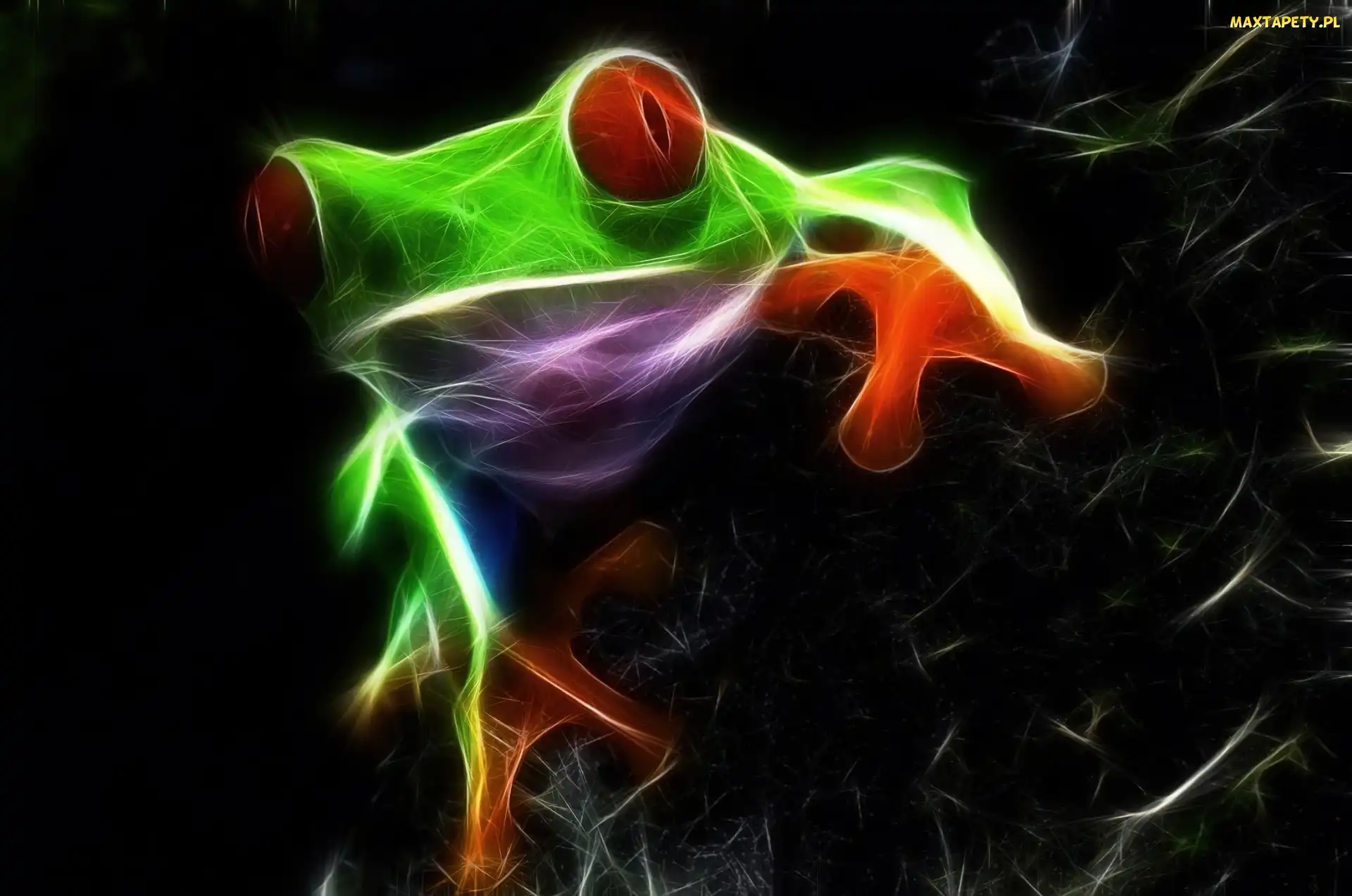 Fractalius, Żaba