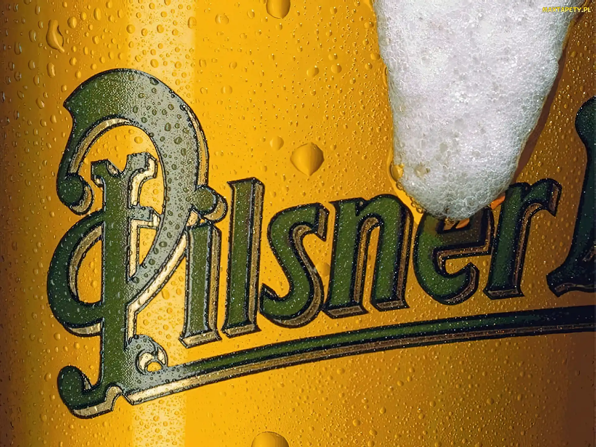Piwo, Piana, Pilsner