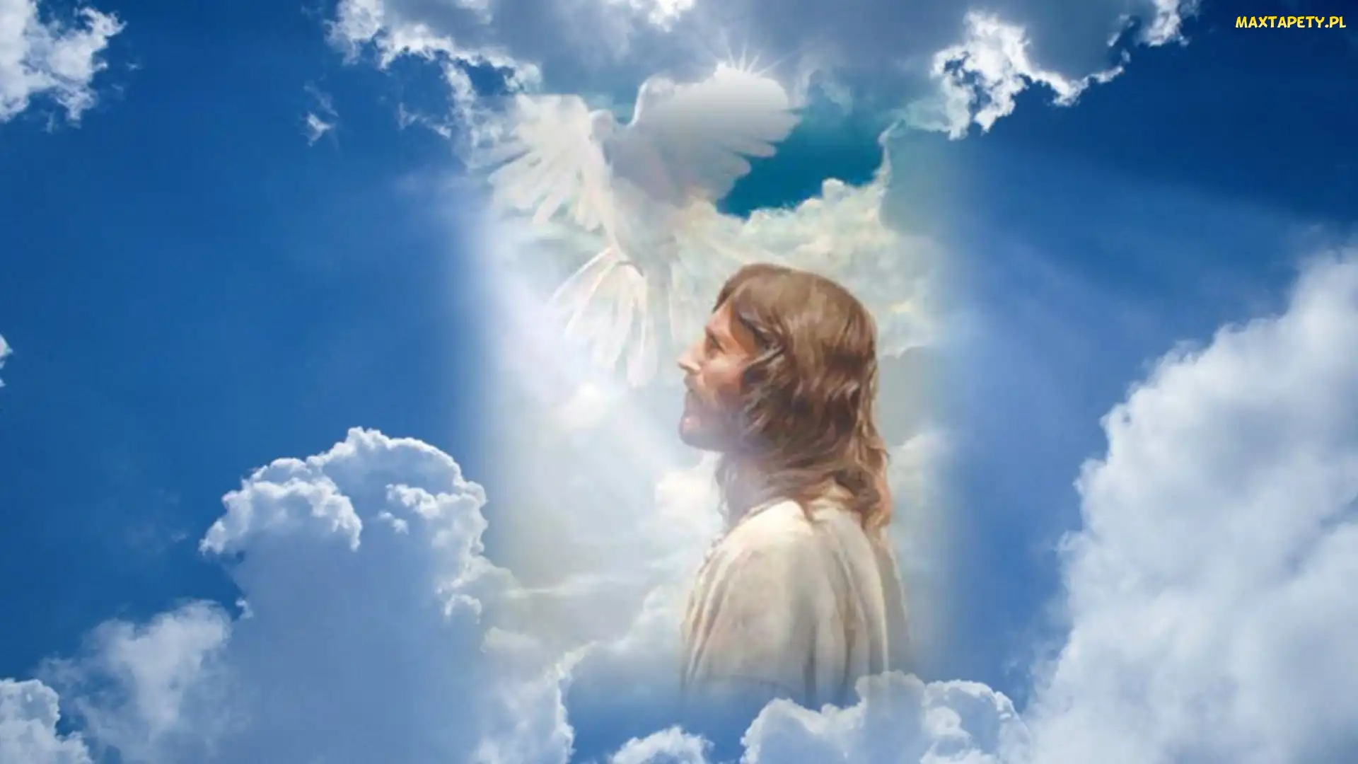 Gołąb, Chmury, Jezus, Światło