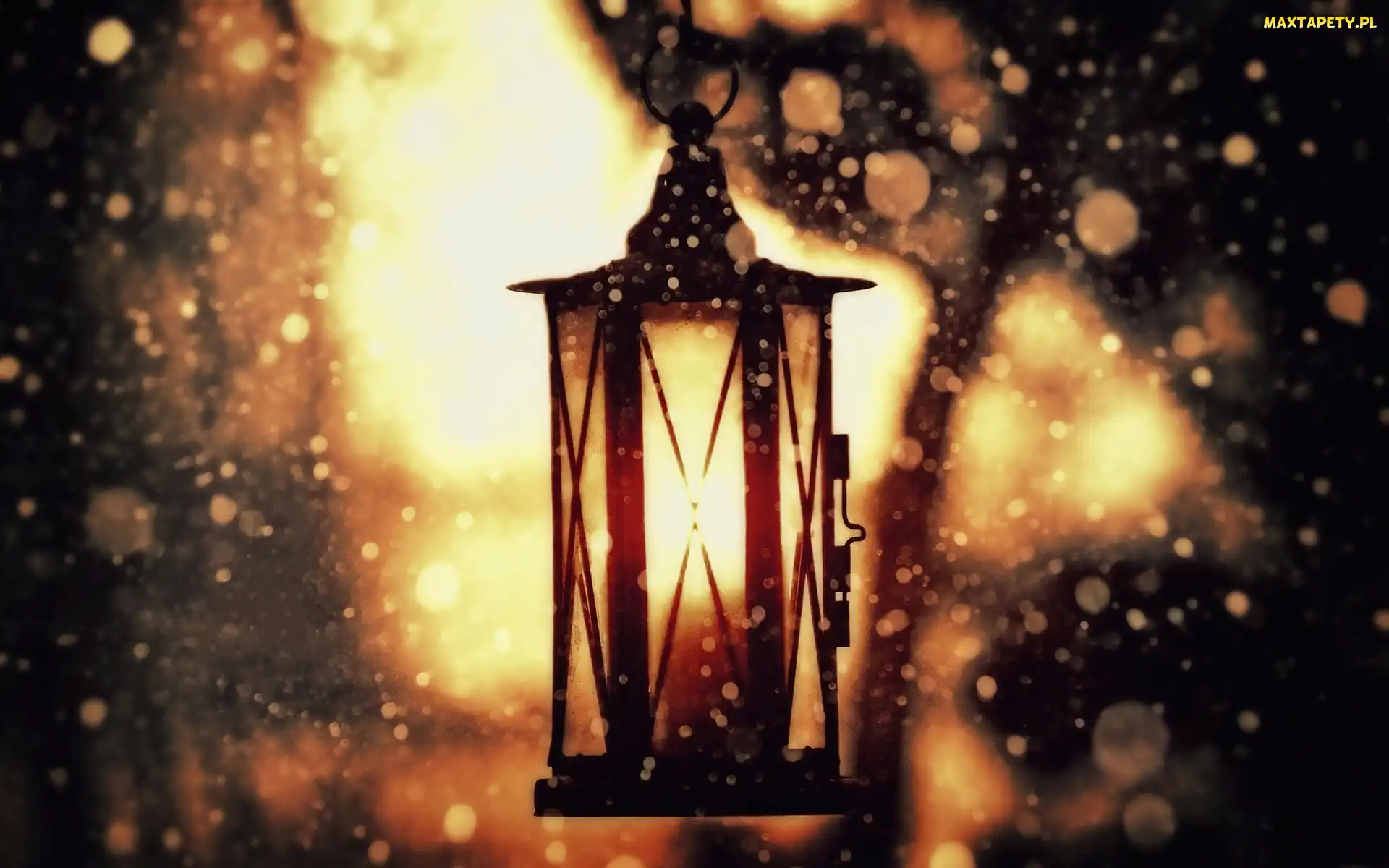 Lampion