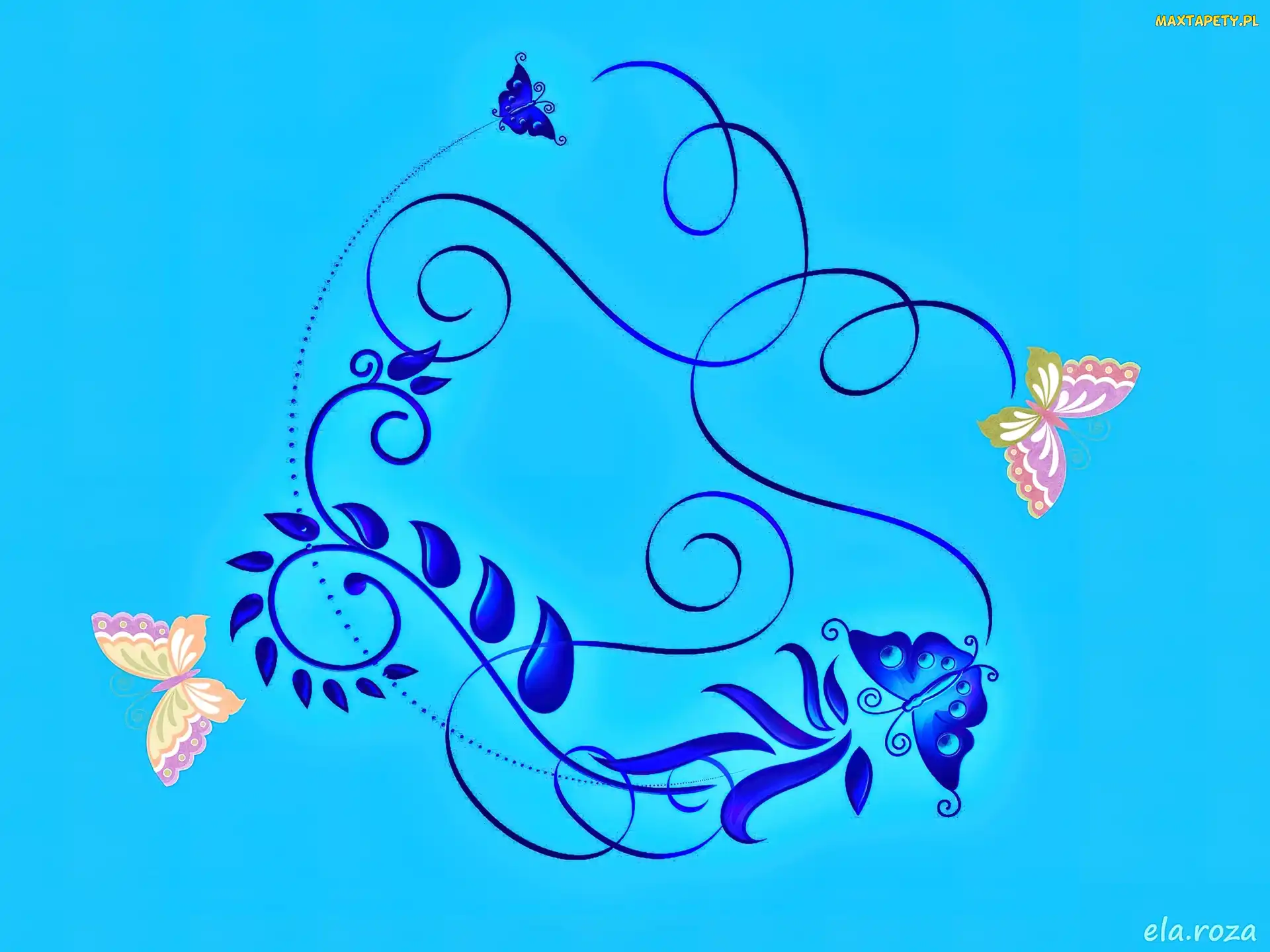 Ornament, Motyle, Tekstura