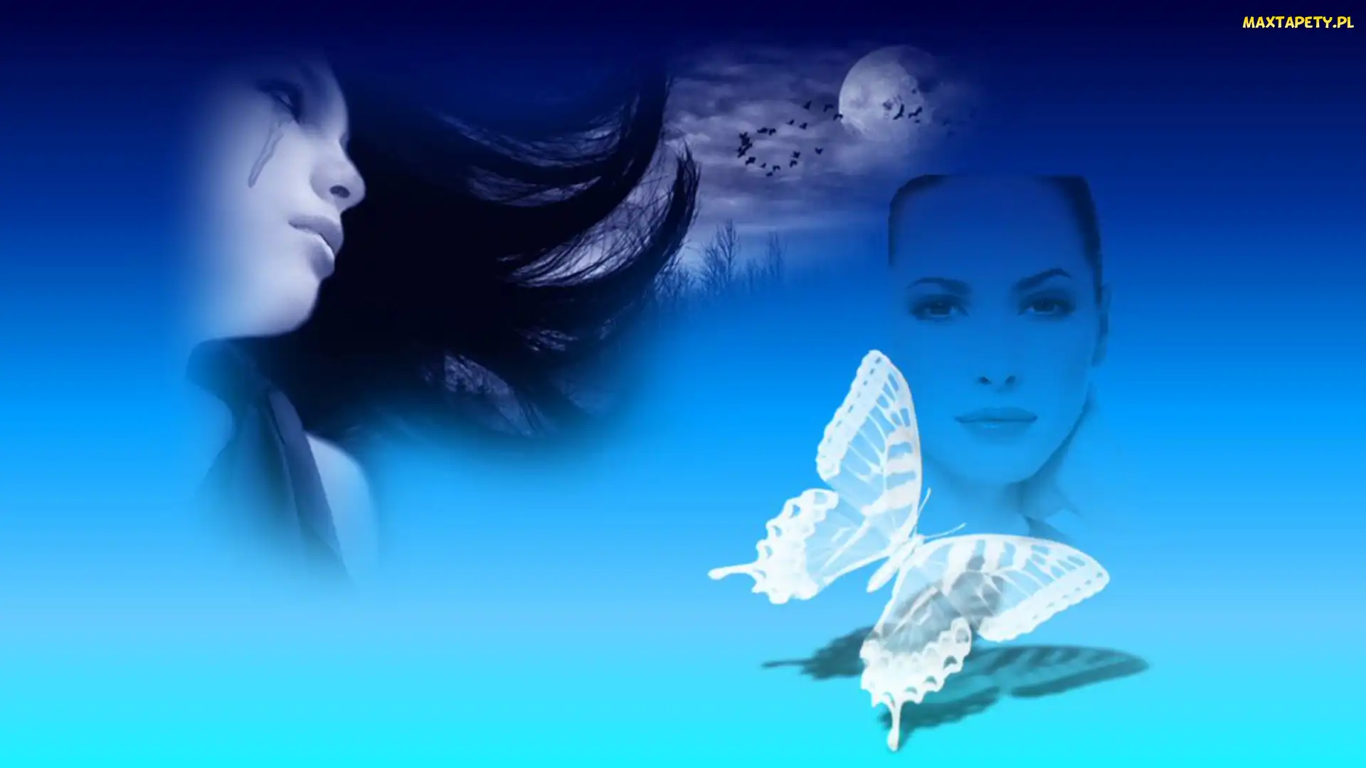 Motyl, Planeta, Kobieta