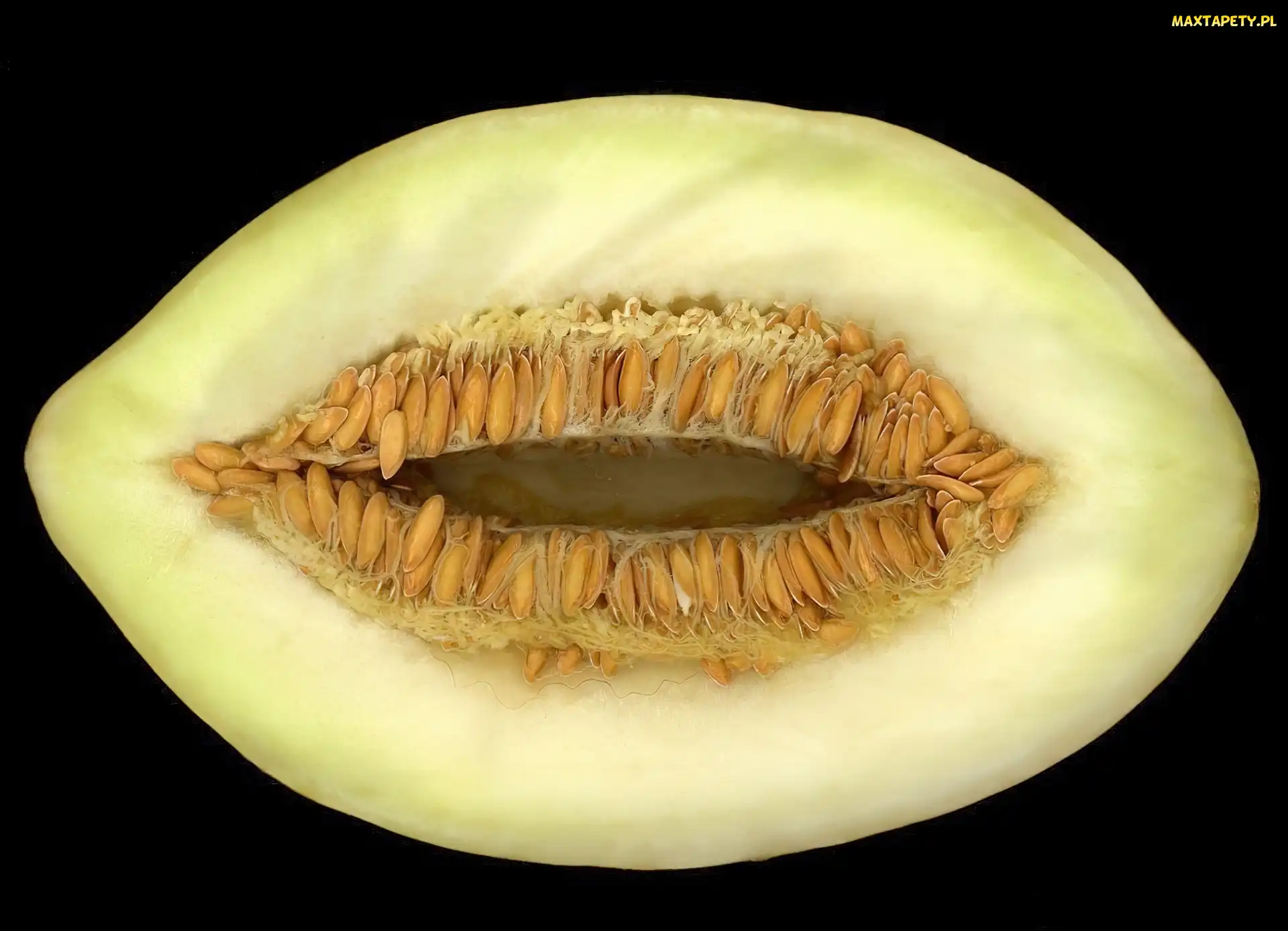 Melon, Przekrojony