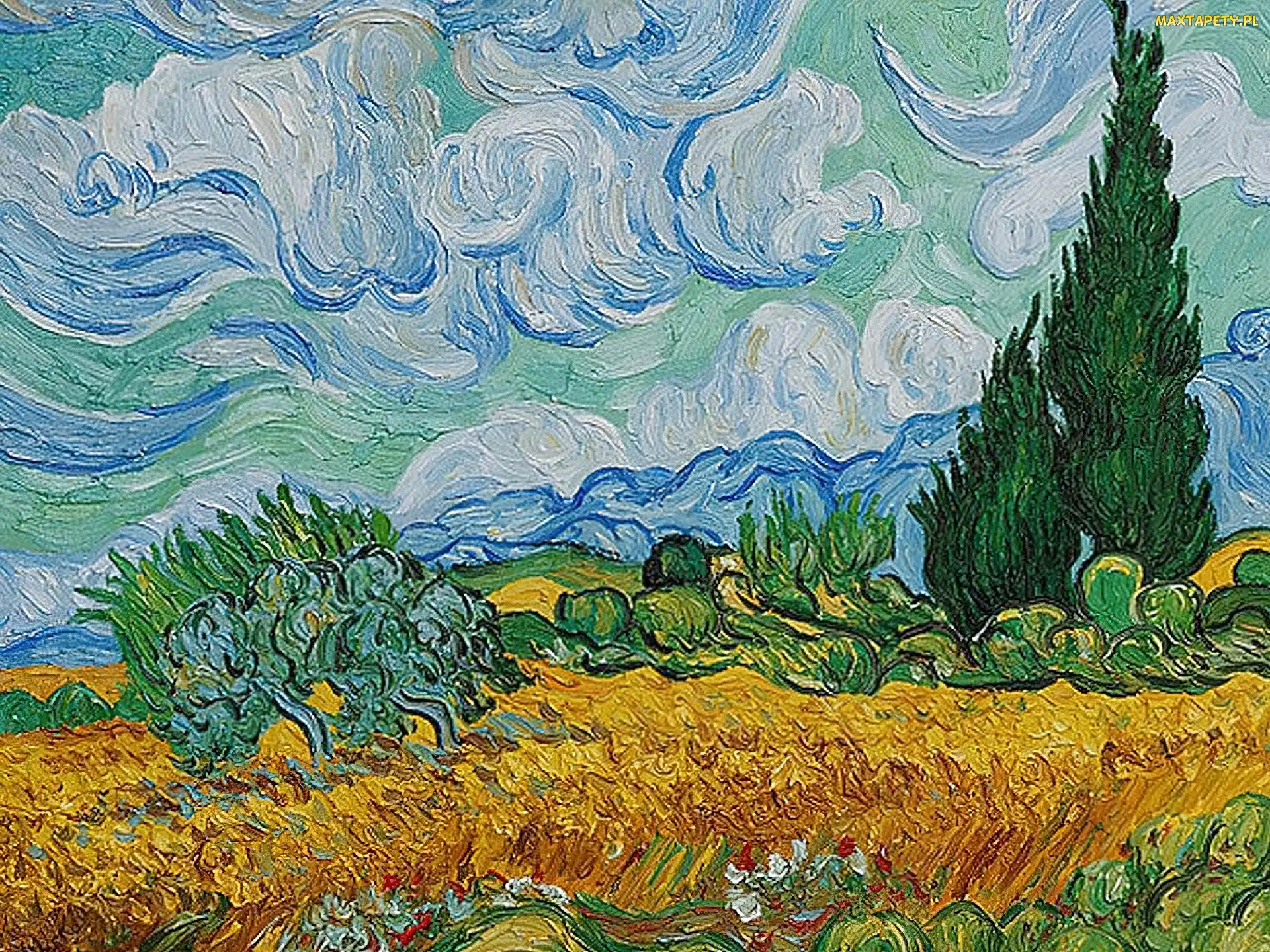 Vicent Van Gogh, Cyprysami, Pszenicy, Z, Pole