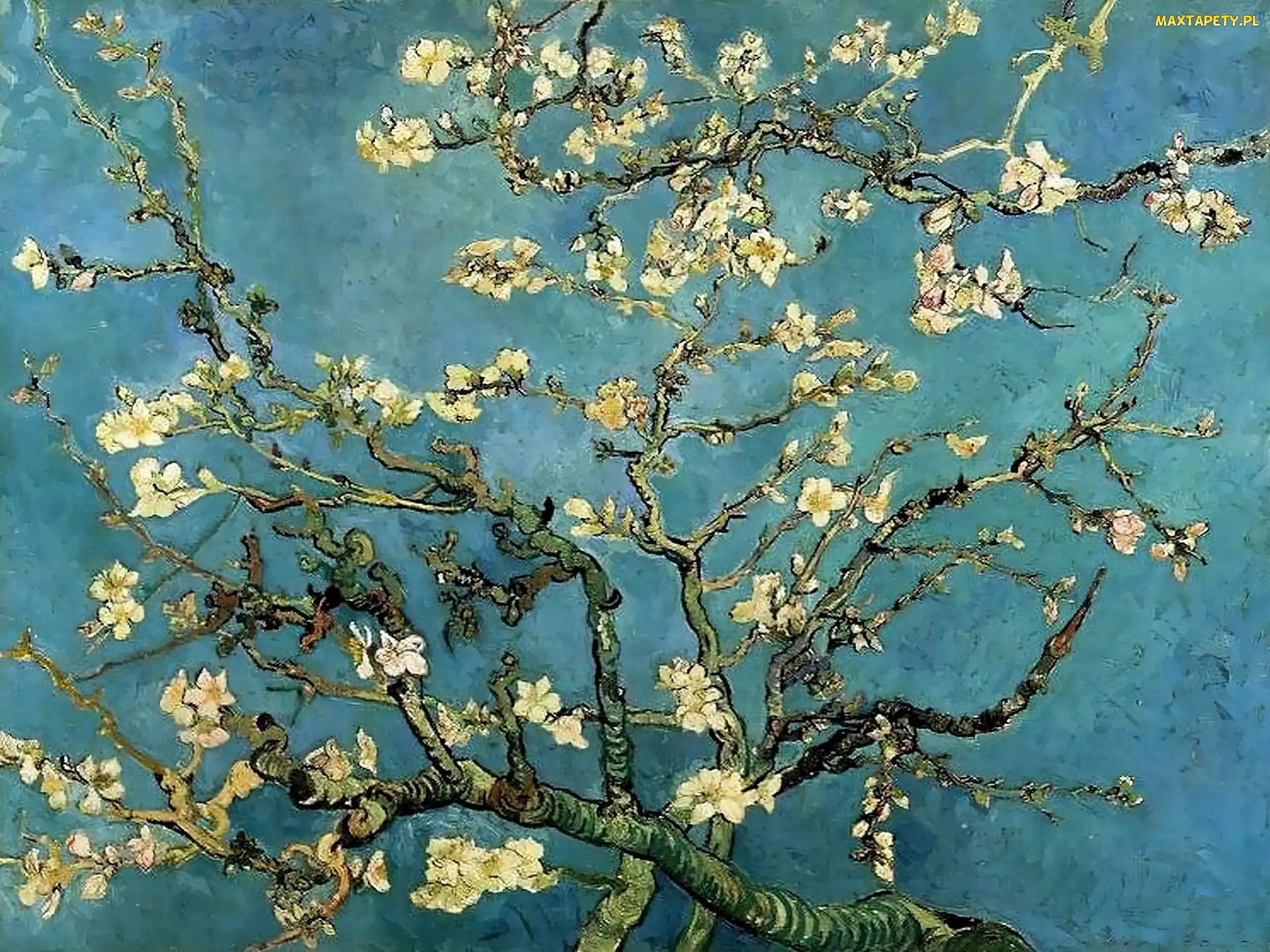 Almond, Bloom, In, Branches, Vincent Van Gogh