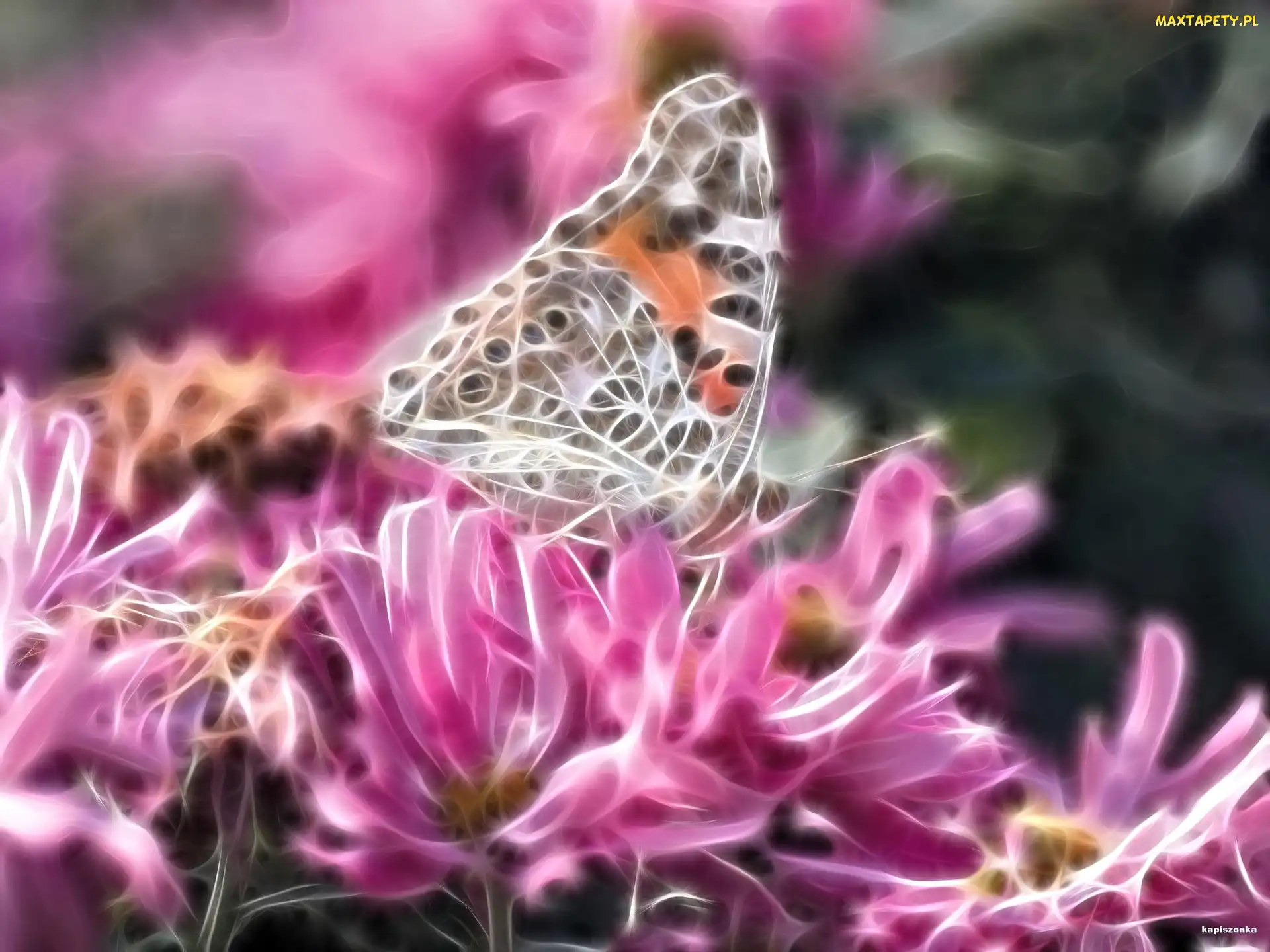 Motyl, Fractalius, Kwiaty