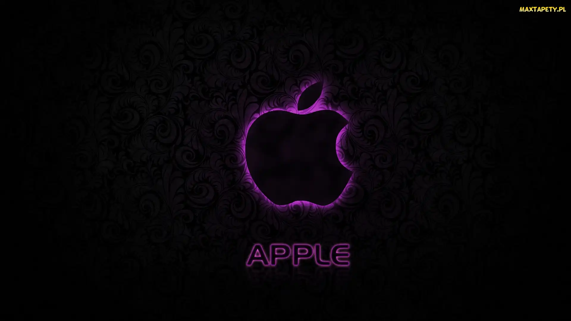 Zarys, Tło, Czarne, Apple, Fioletowy