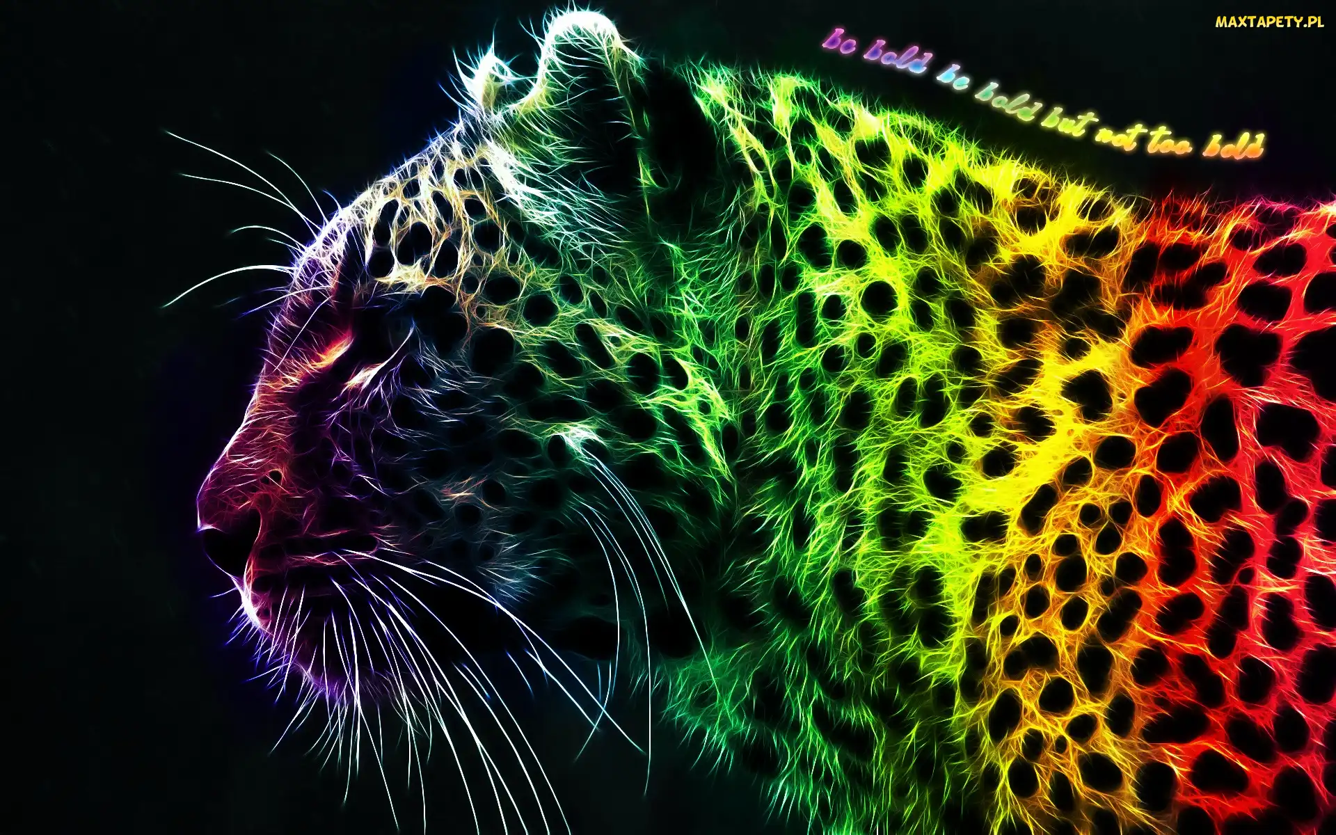 Leopard, Fractalius, Kolorowy