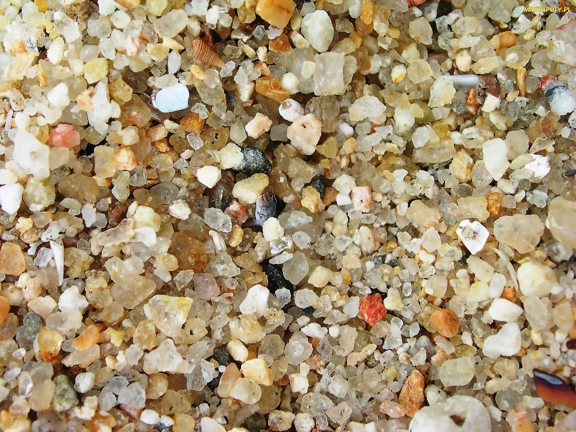 Kamienie, Plaża