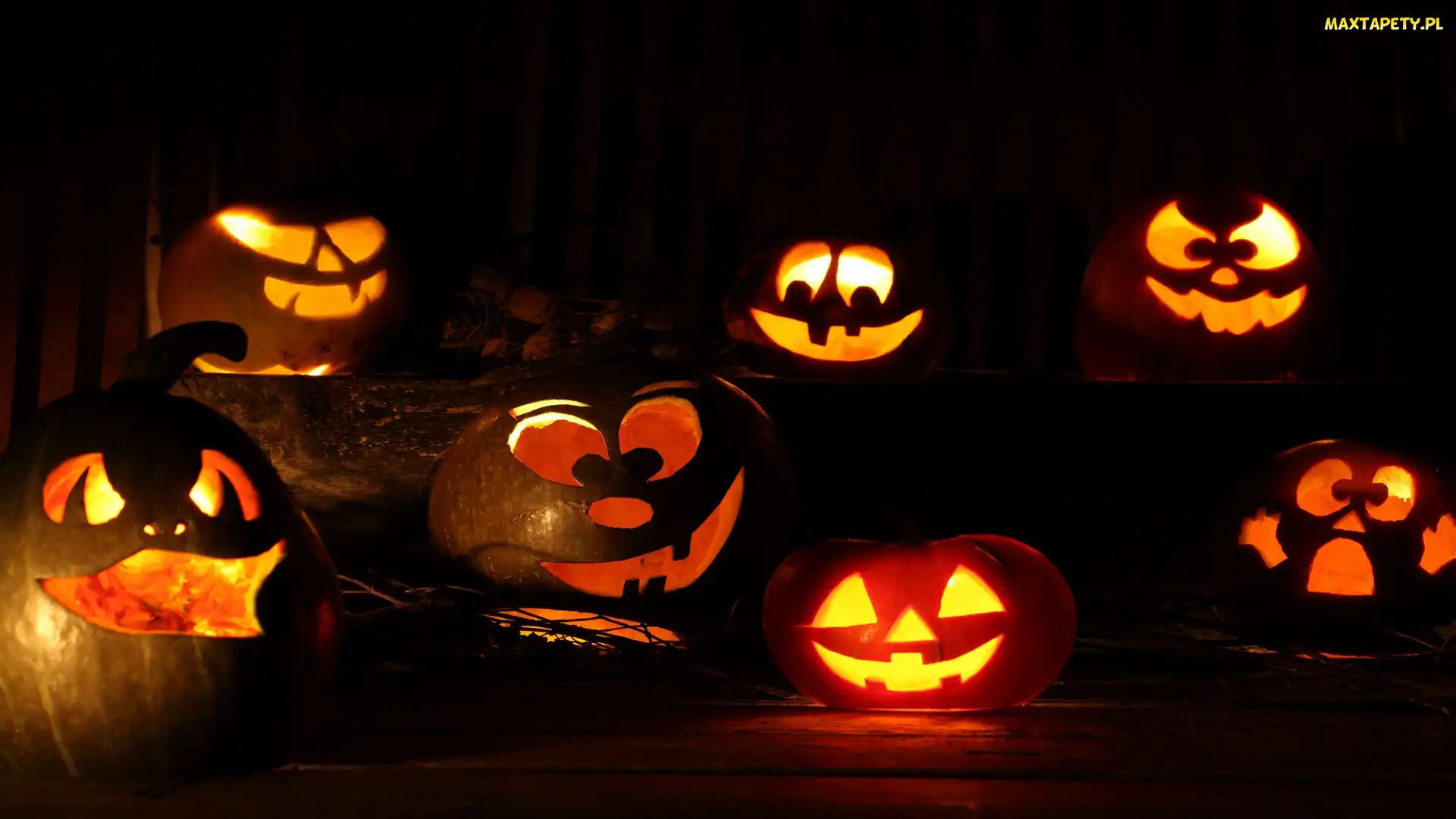 Miny, Halloween, Dynie