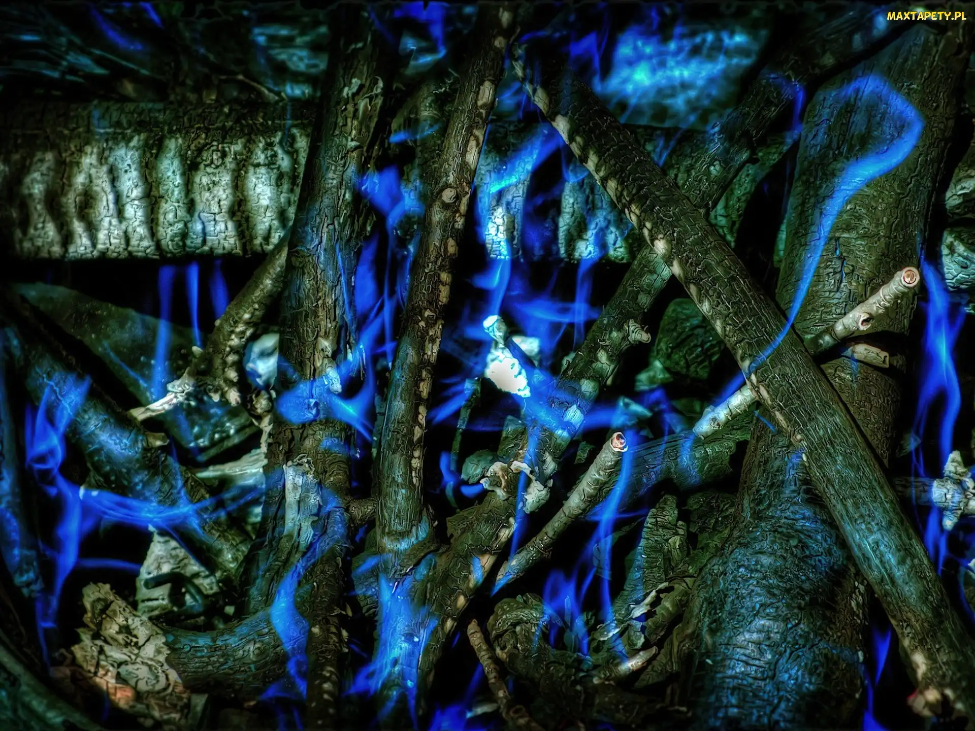 Drzewa, Fantasy, Gałęzie