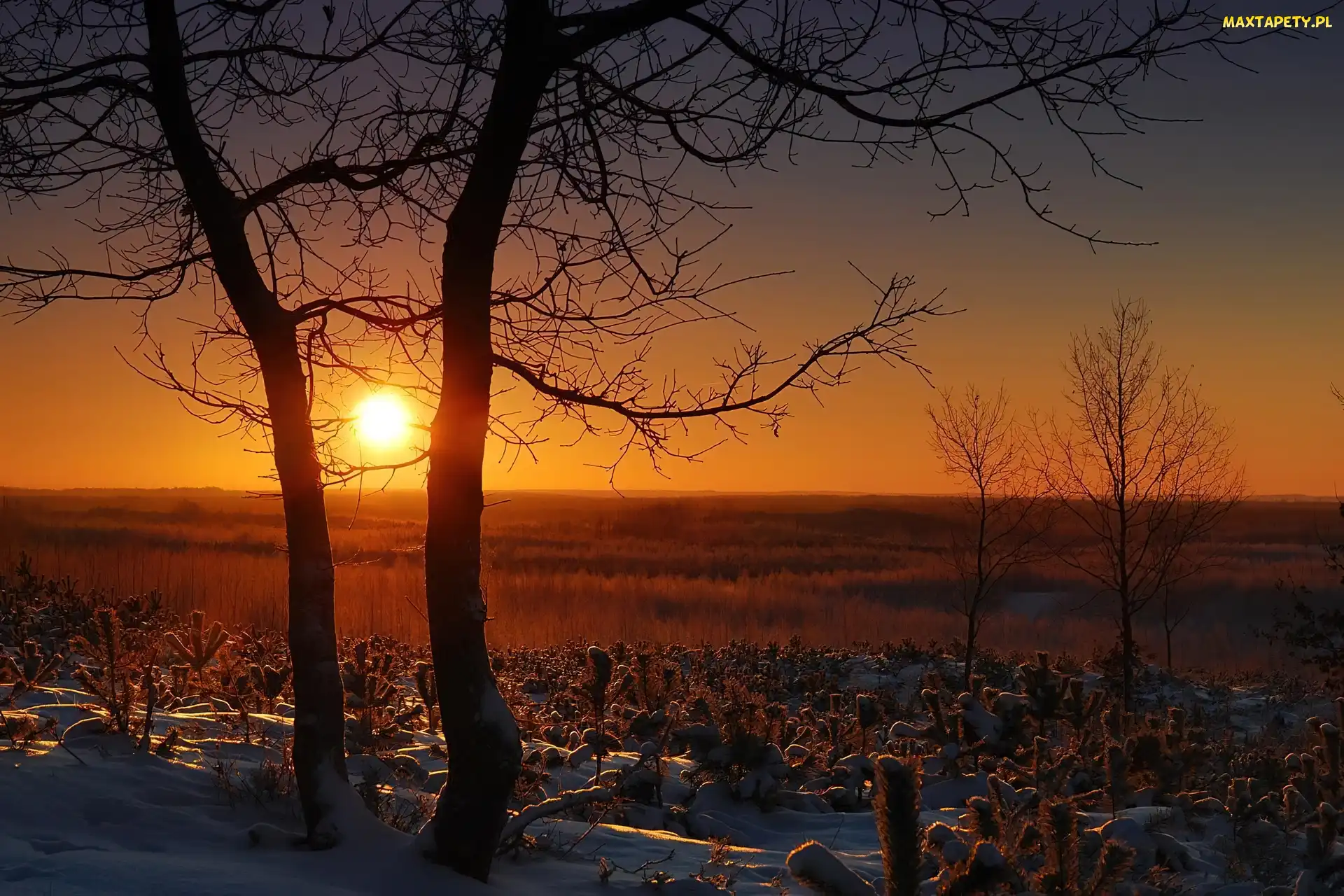 Śnieg, Słońca, Krajobraz, Zachód