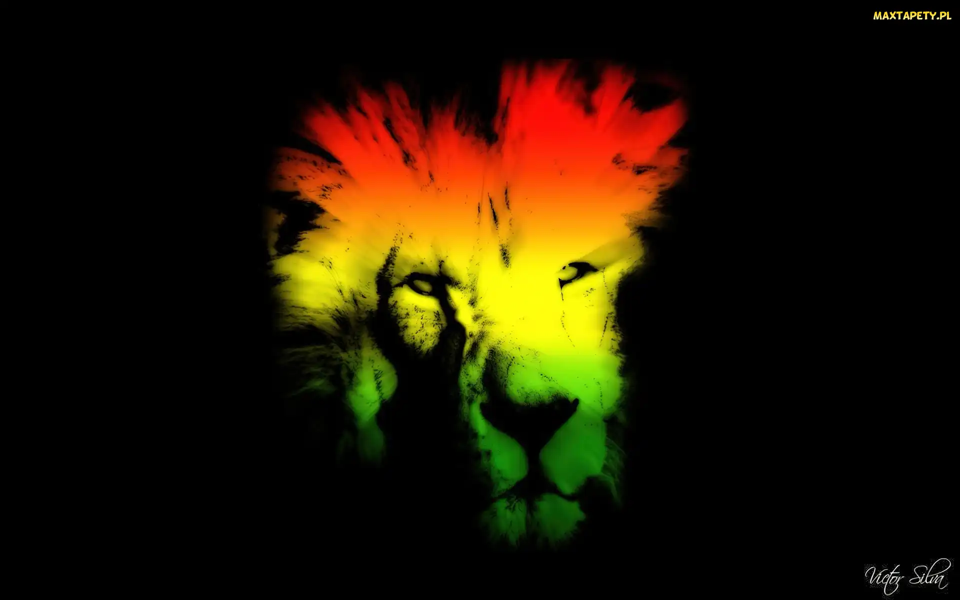 Lew, Reggae, Kolory