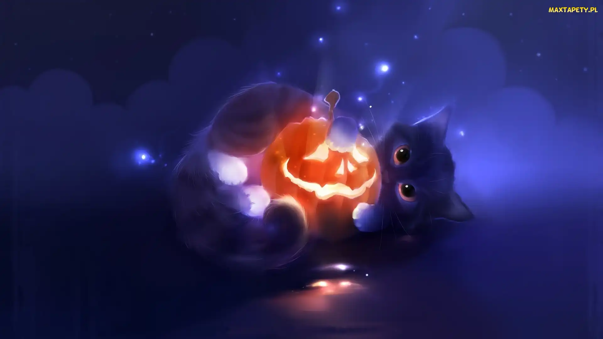 Dynia, Halloween, Kot
