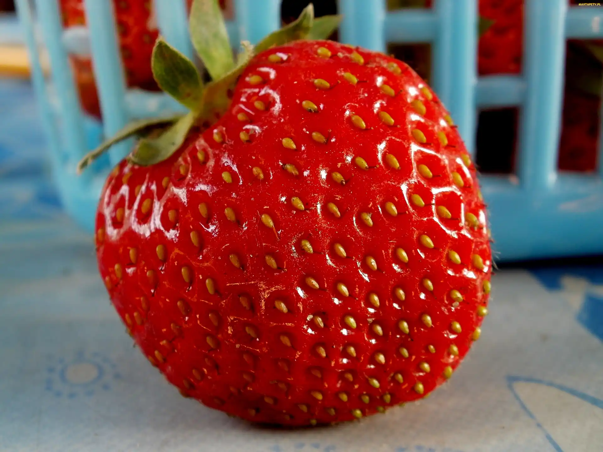Truskawka