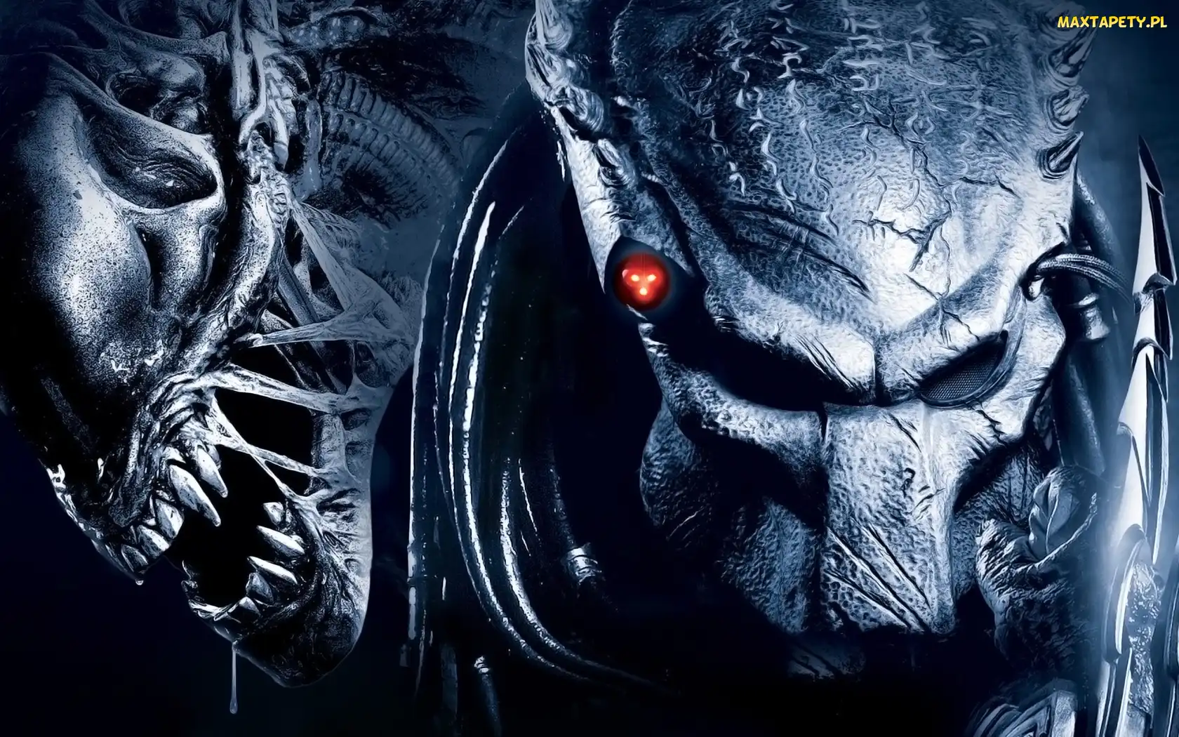 Predator, Obcy