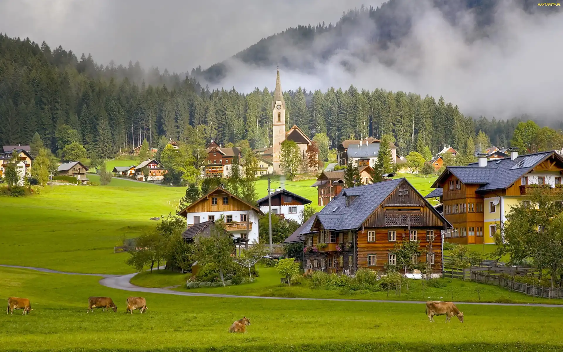 Austria , Krowy, Wioska, Domy, Gosau